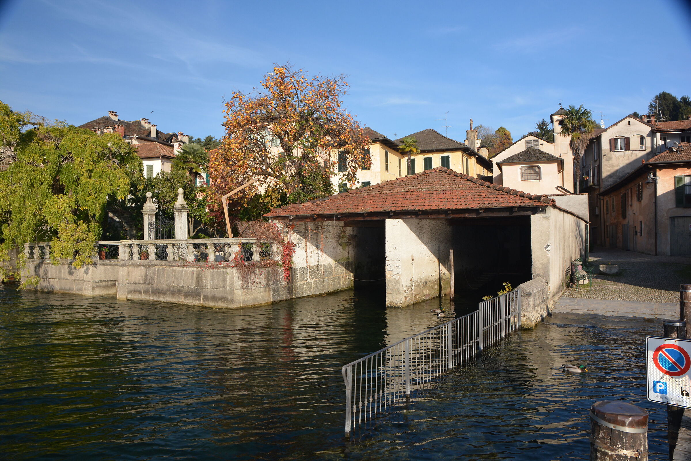 Orta