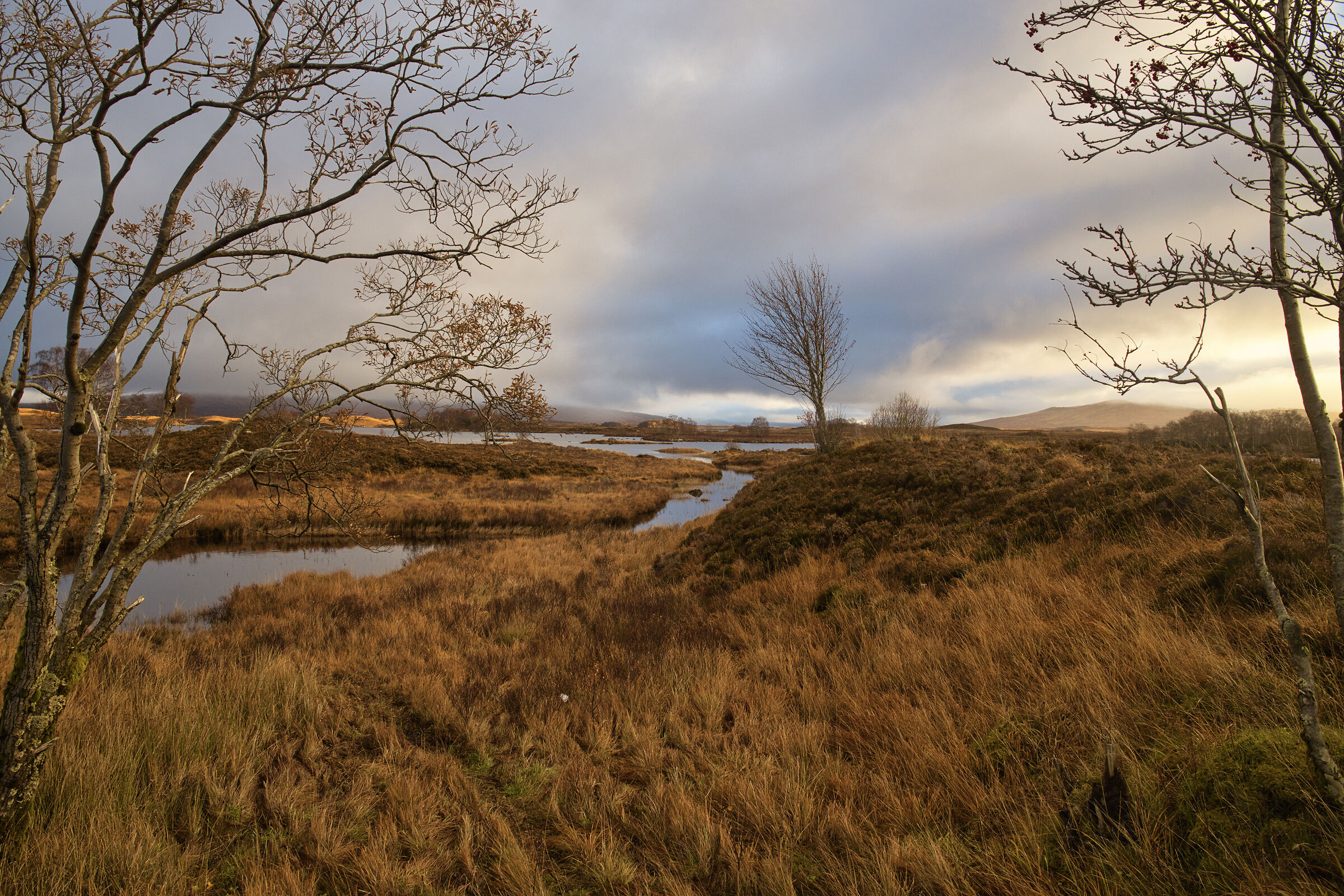 Sunrise over the Highlands