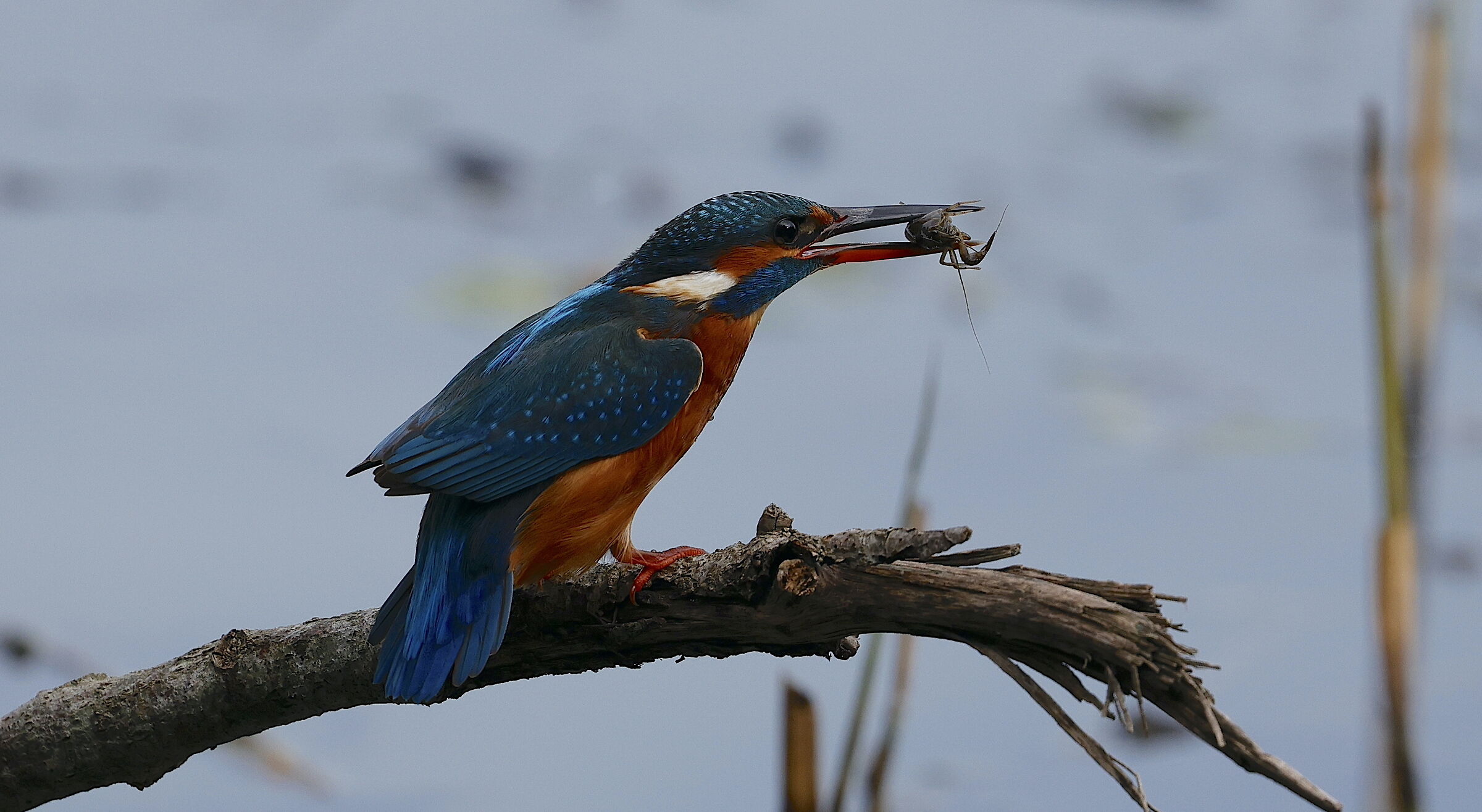 riposo dopo la pesca