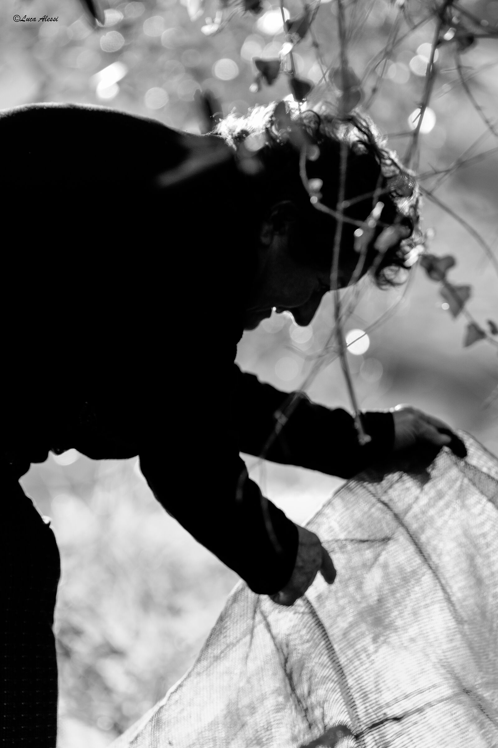 Work in the countryside