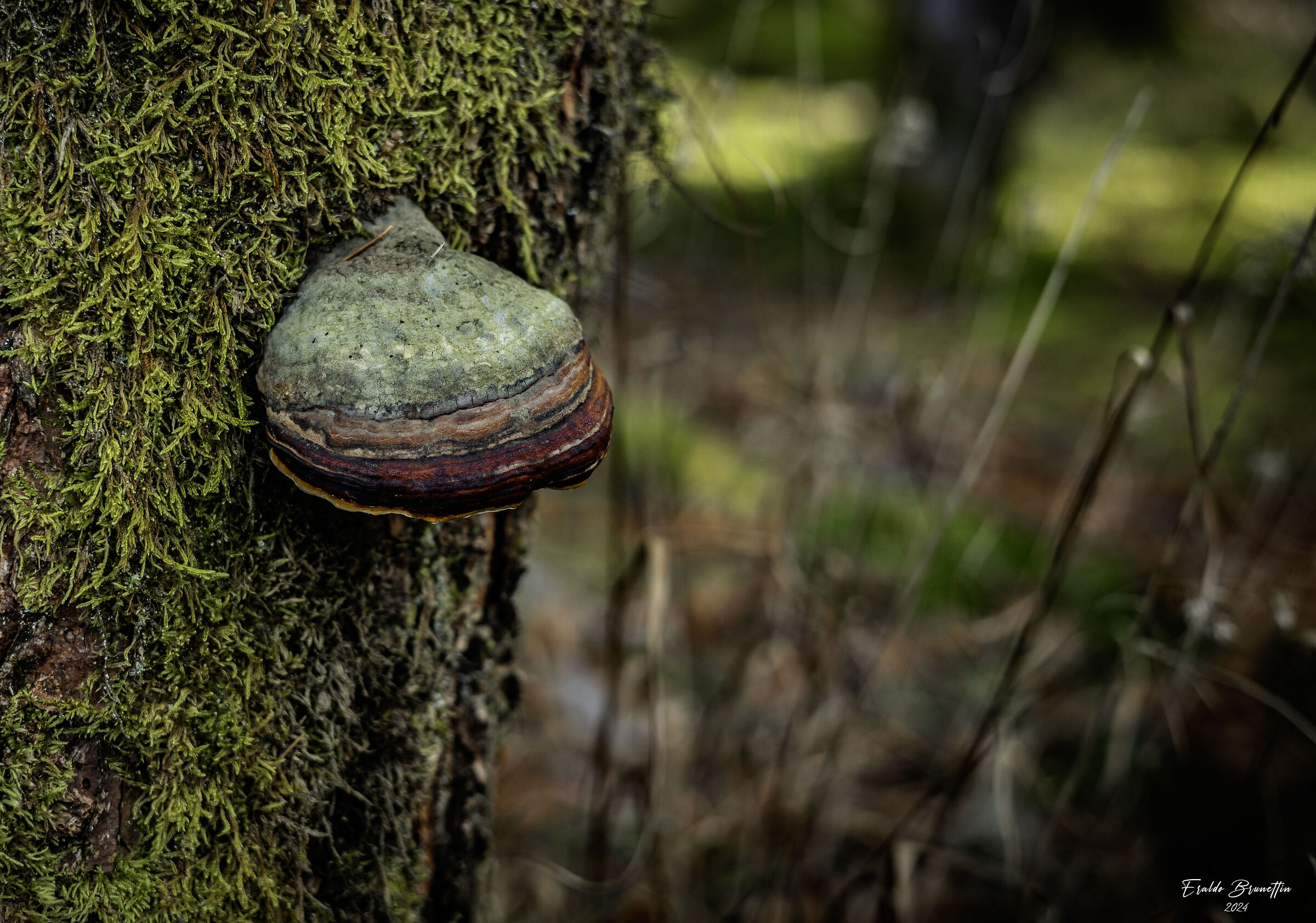 Untitled Photo
