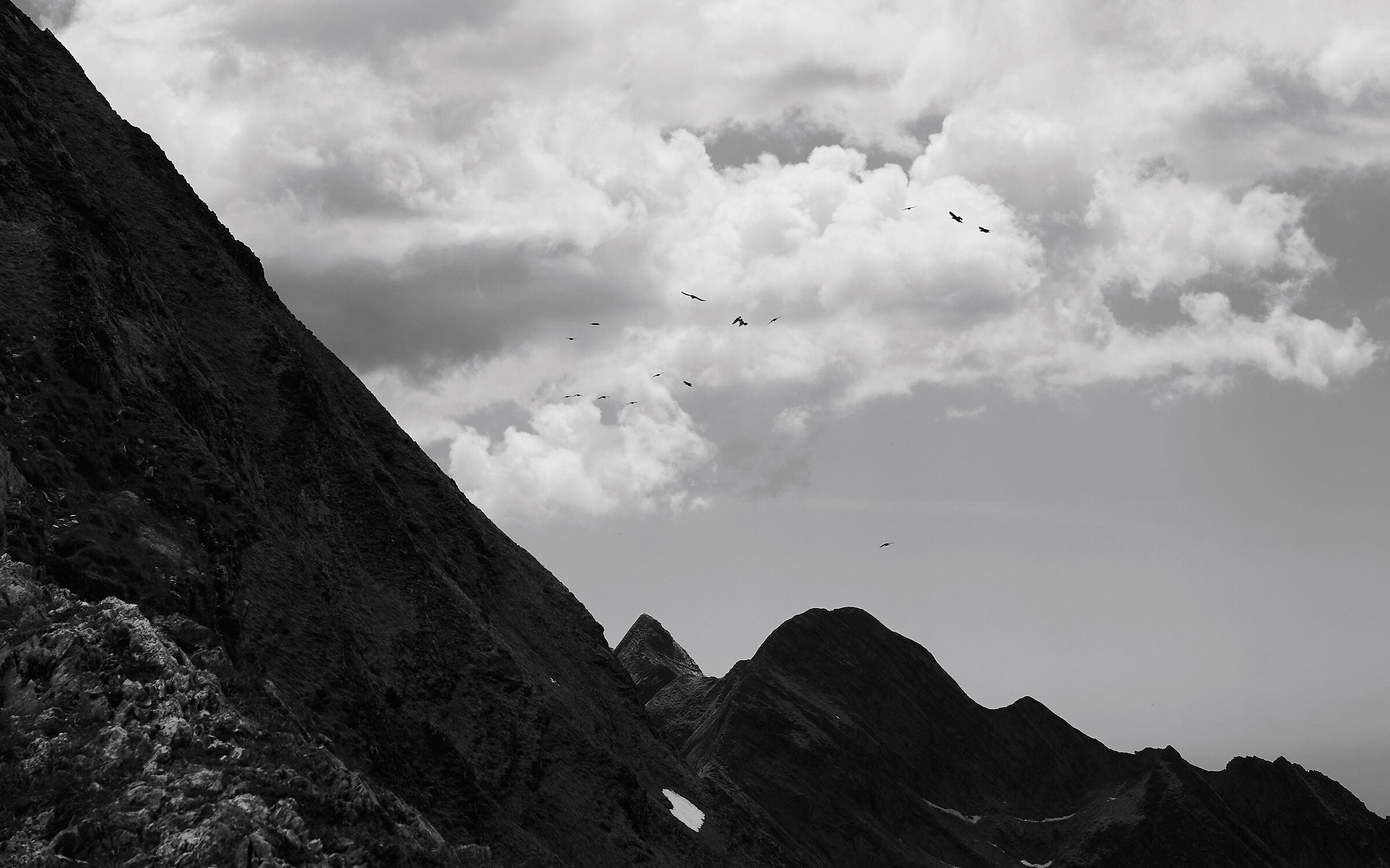 Volo di Gracchi (Val Serenaia Apuane)