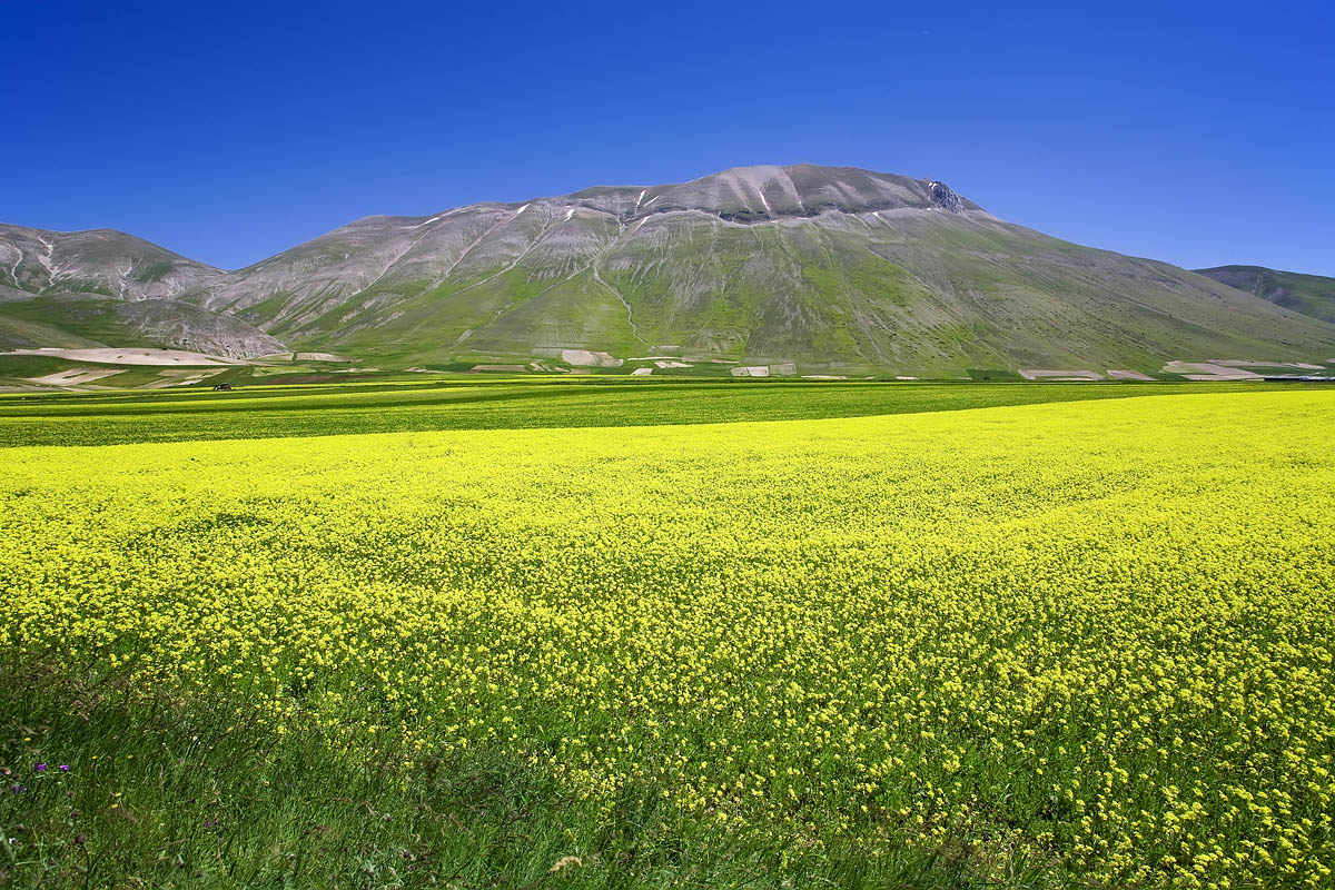 Castelluccio di Norcia