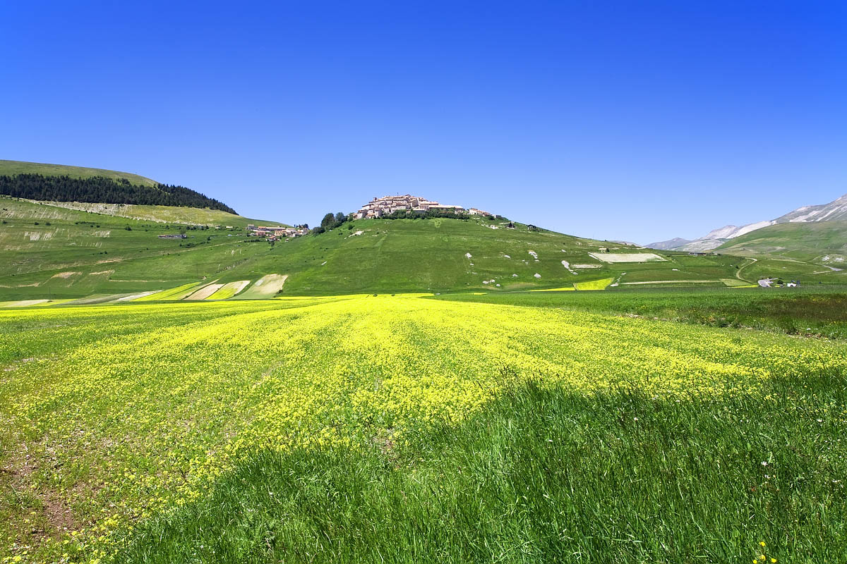 Castelluccio di Norcia