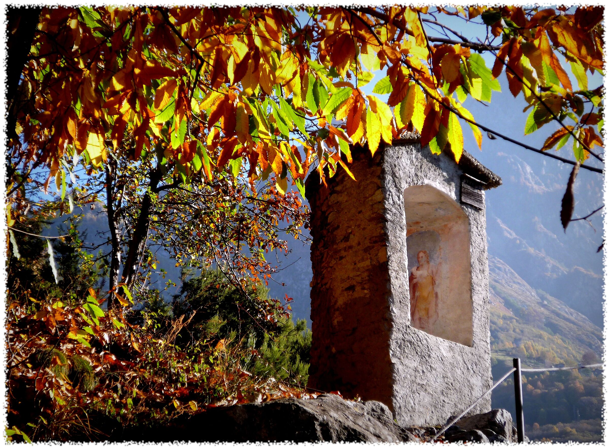 Autumn in Val Codera (So)
