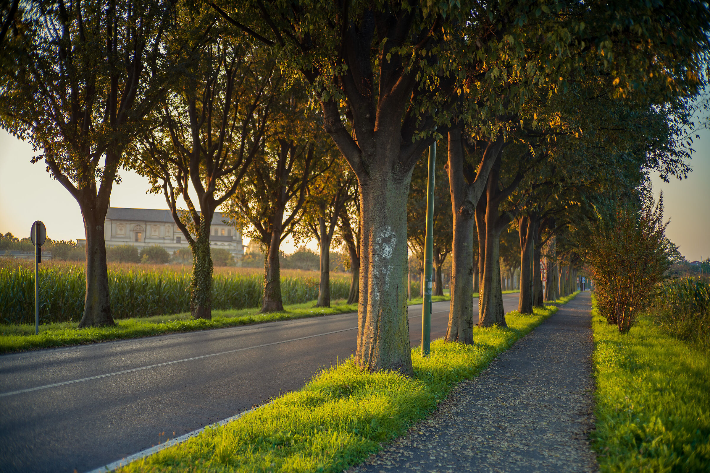 Via Santuario - Stezzano (BG)