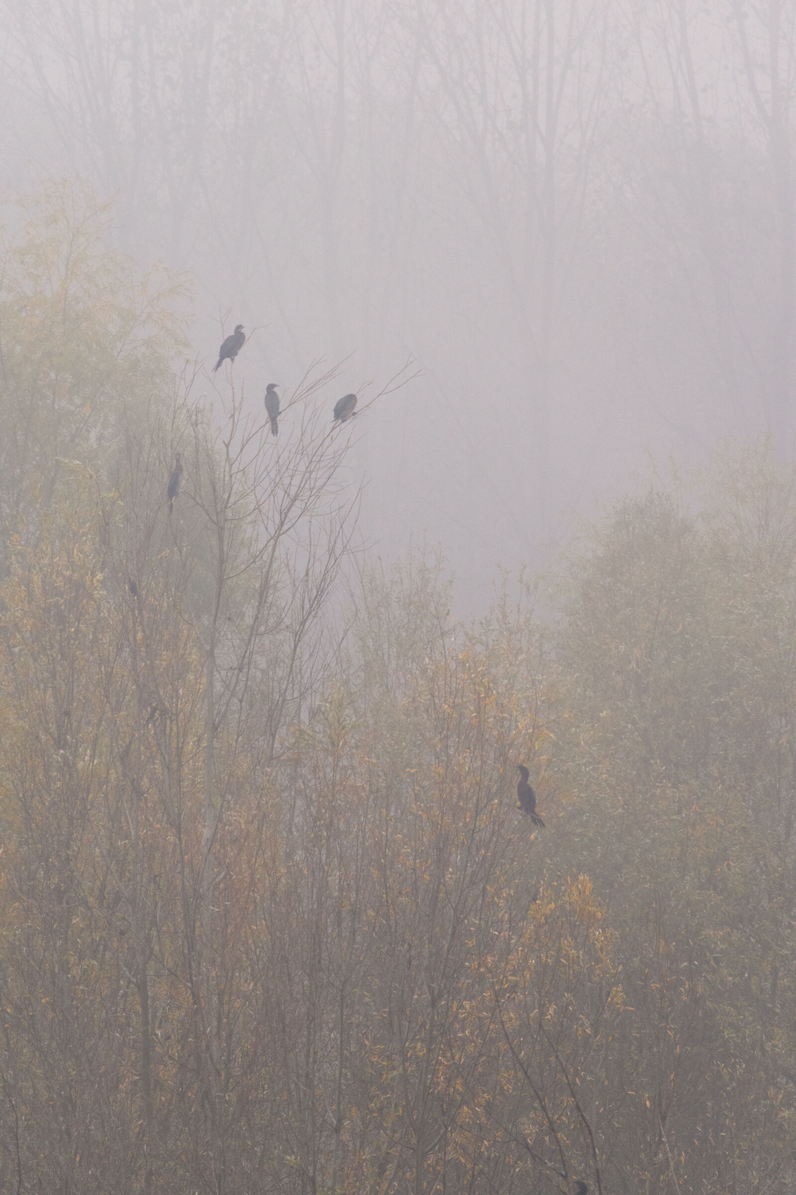 In attesa di un raggio di sole