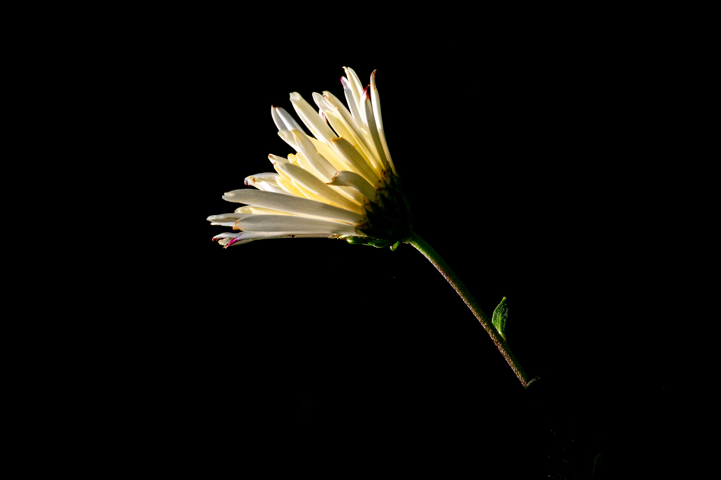 Resilience