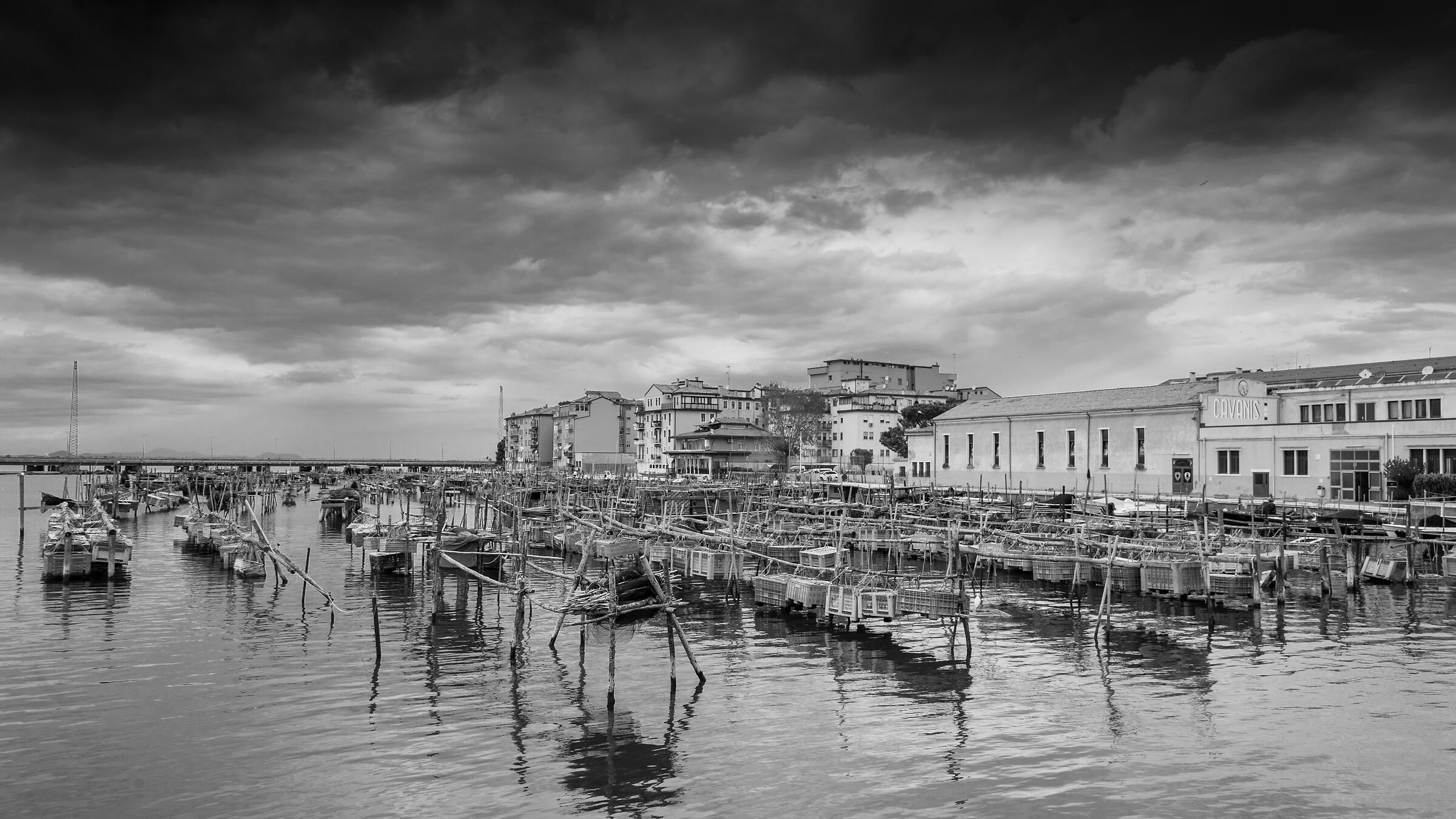 Untitled Photo