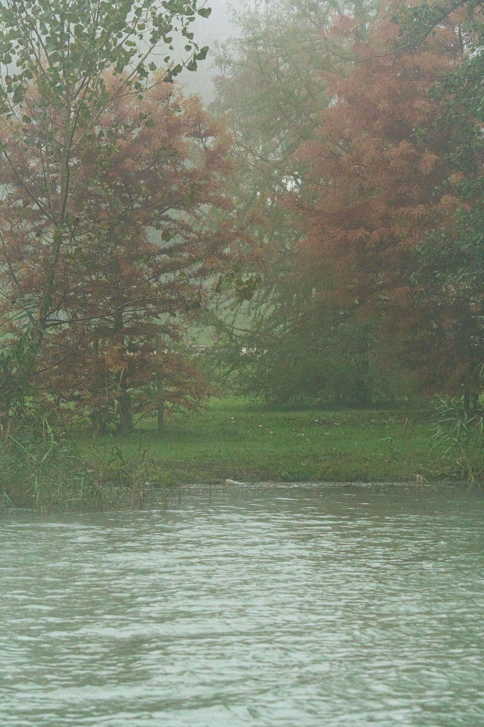 autunno