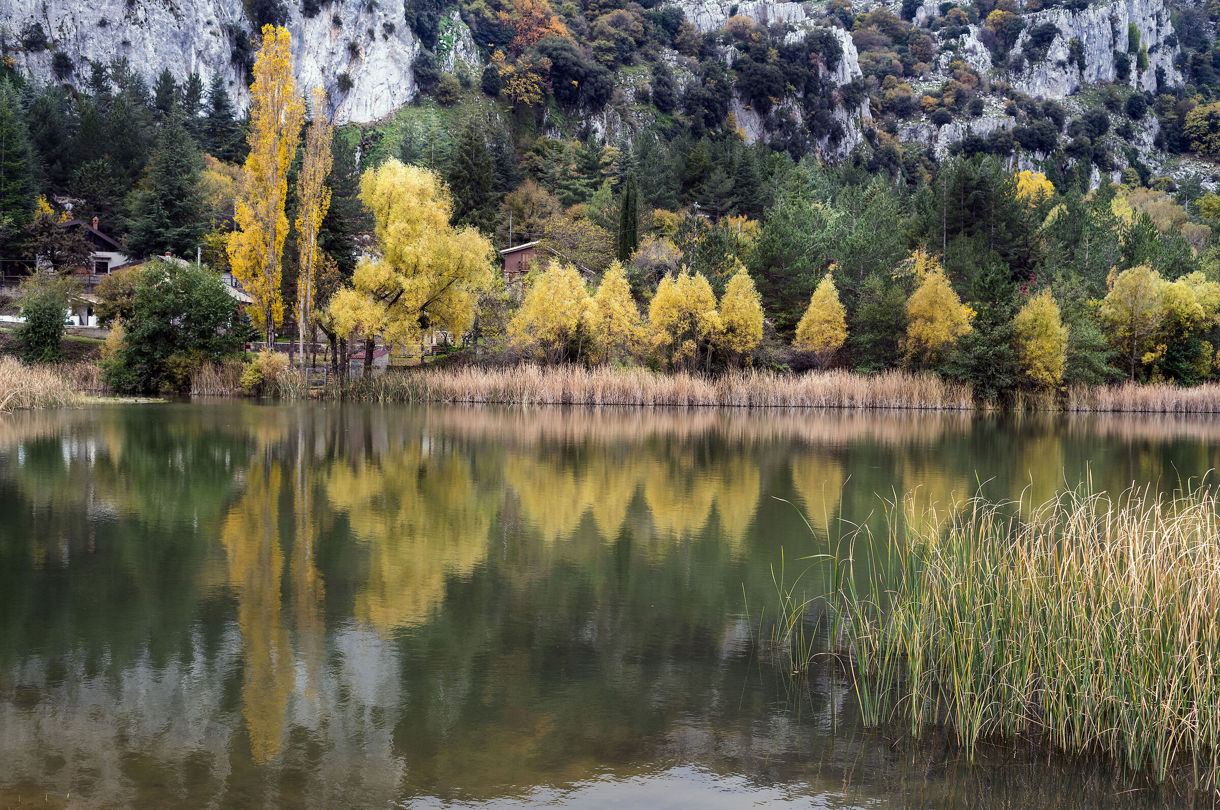 Sicilian Autumn