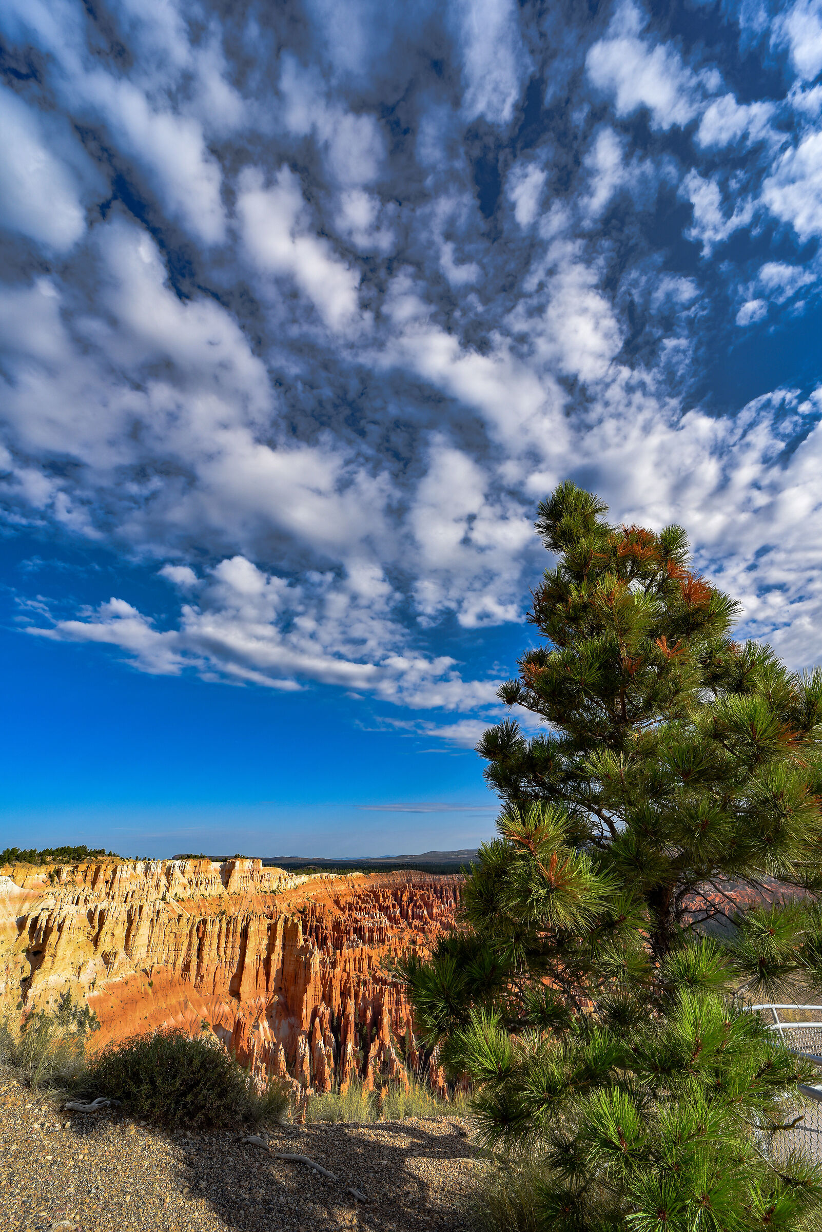 Bryce Canyon