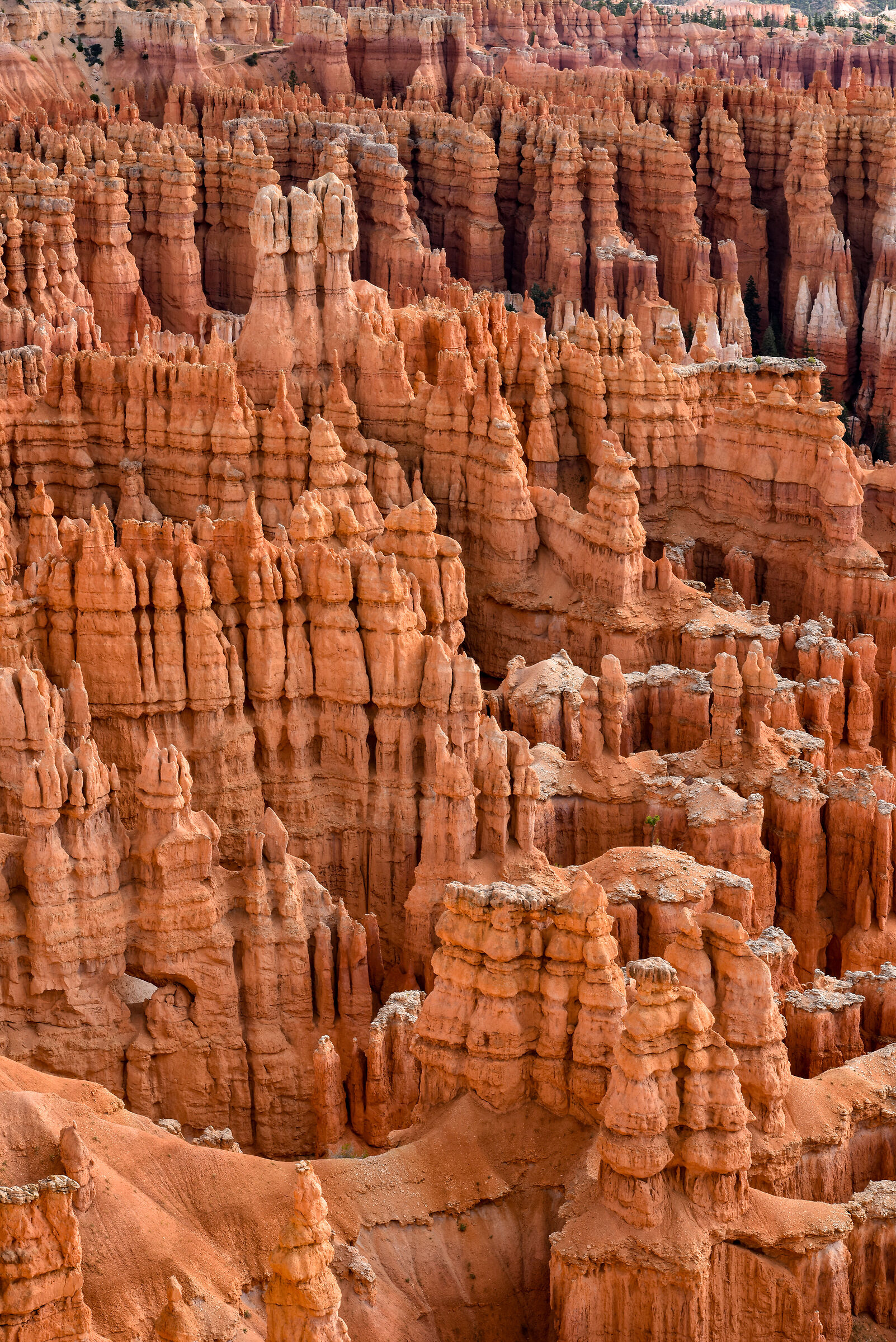 Bryce Canyon