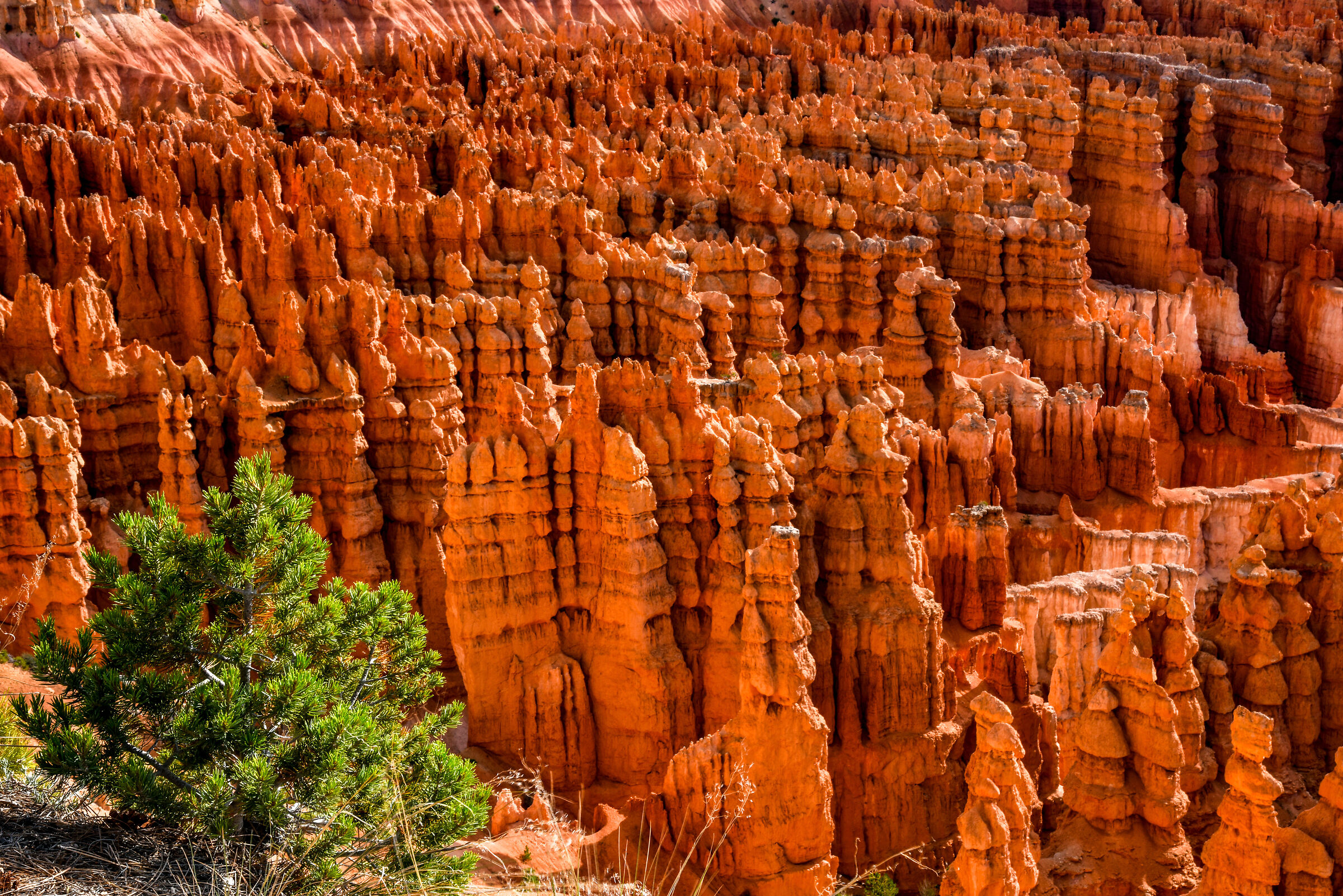 Bryce Canyon