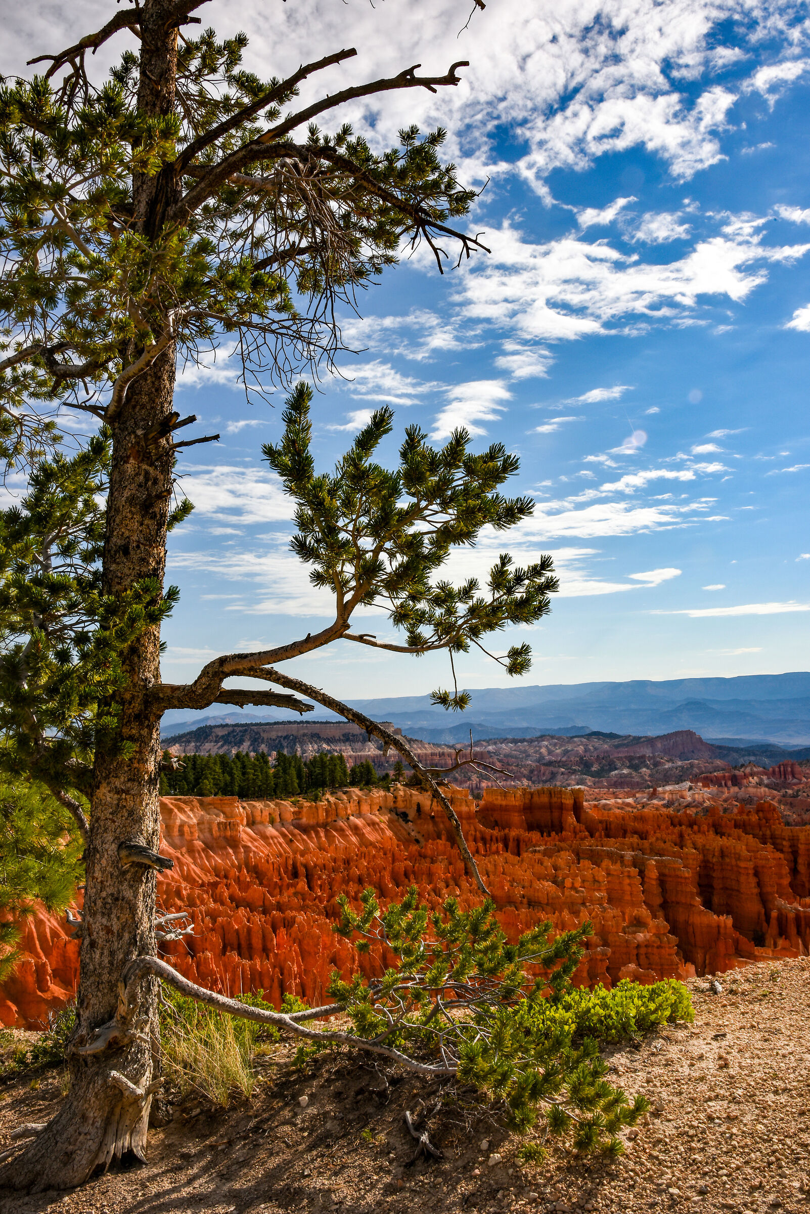 Bryce Canyon