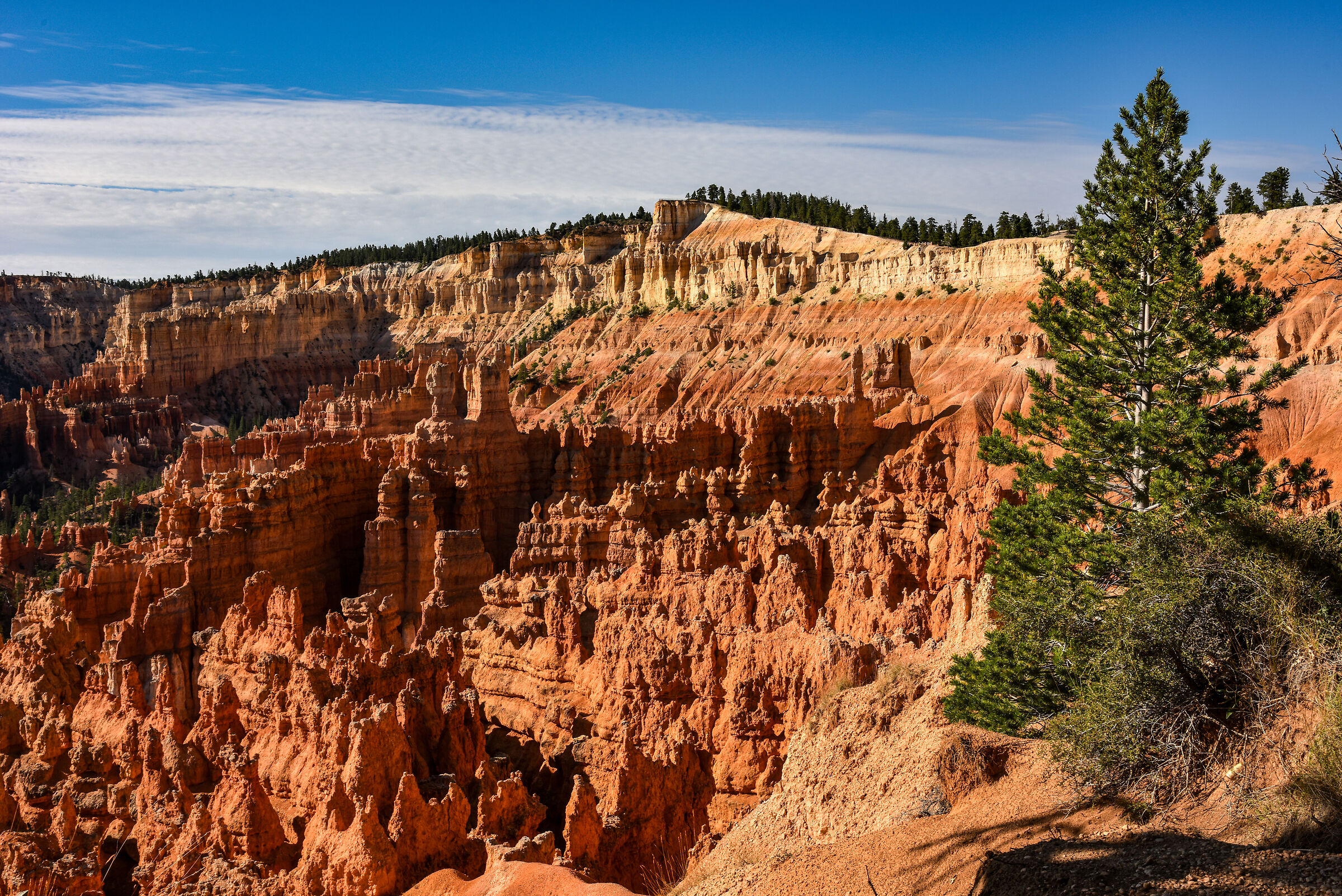 Bryce Canyon