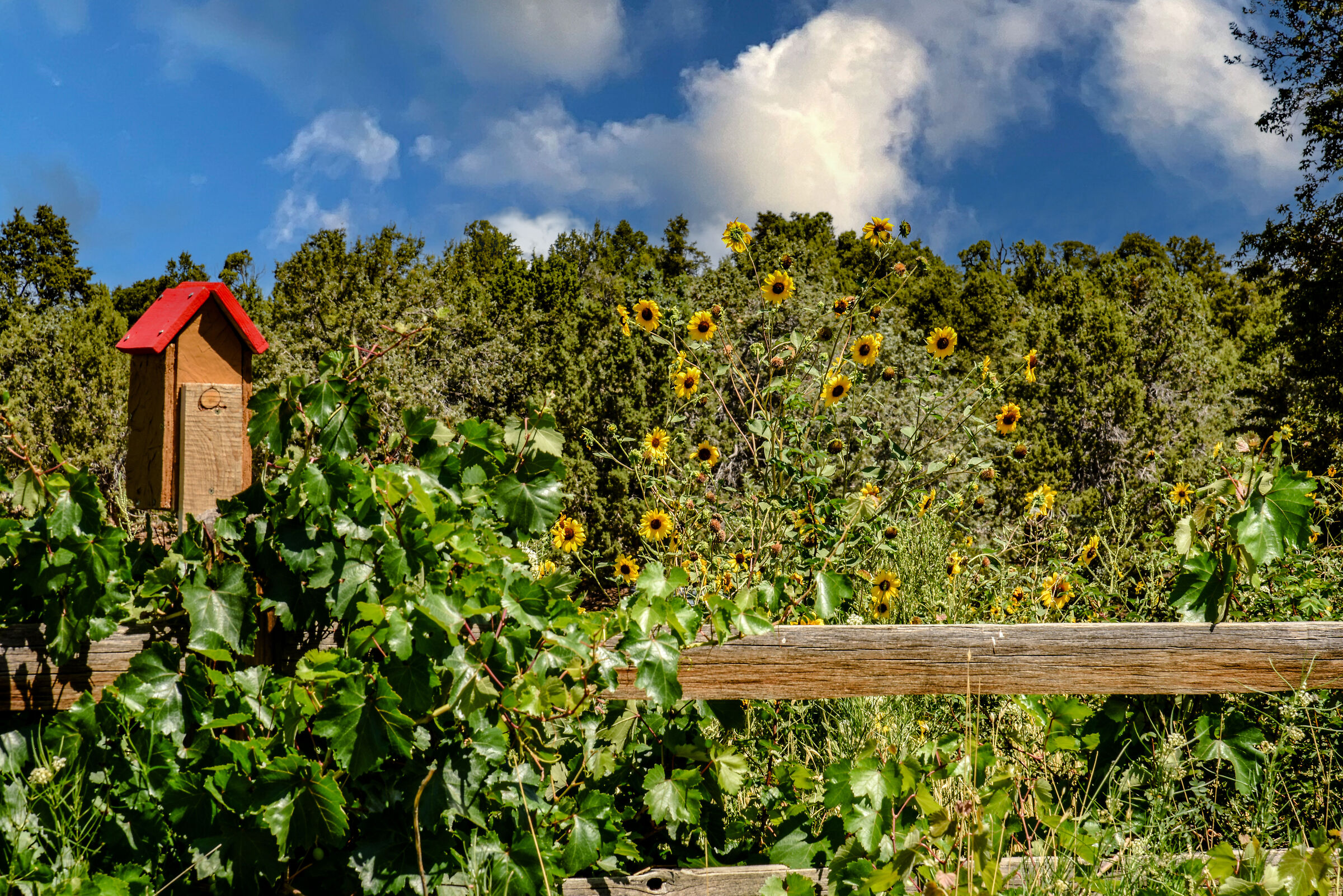 Sulla strada per Las Vegas