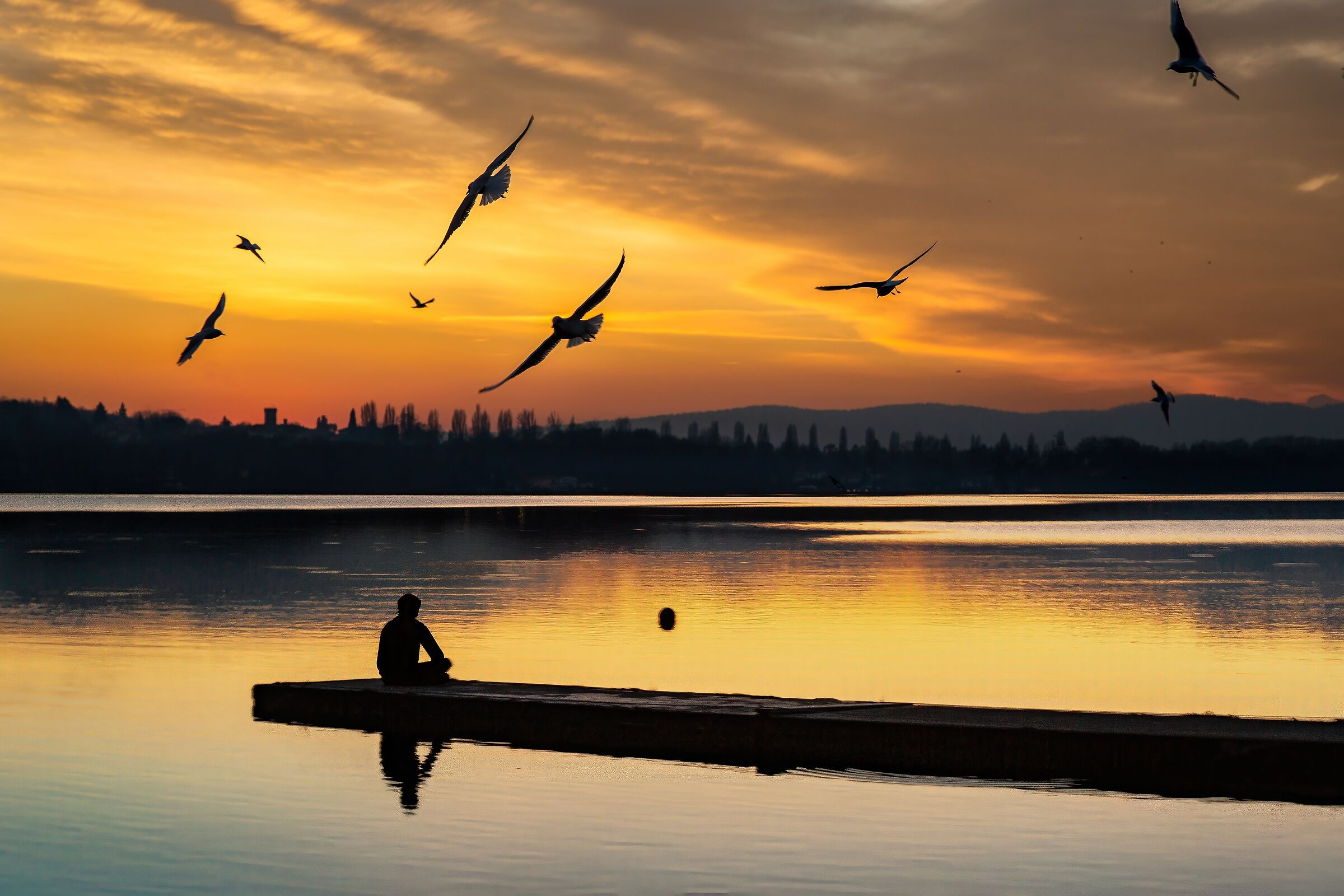 Wings that want to fly ...