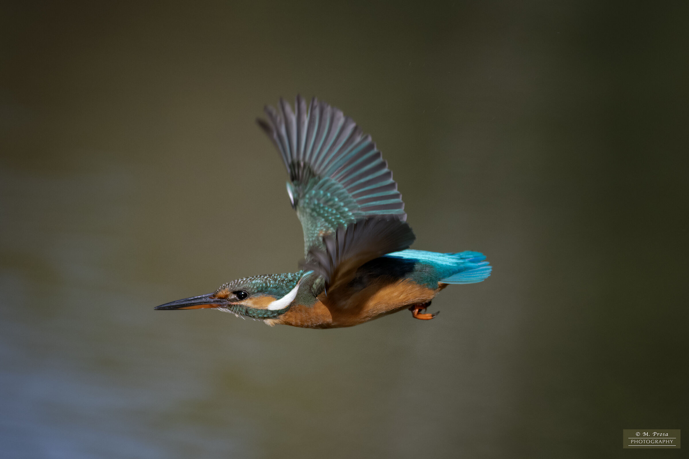 The Martina della Piana