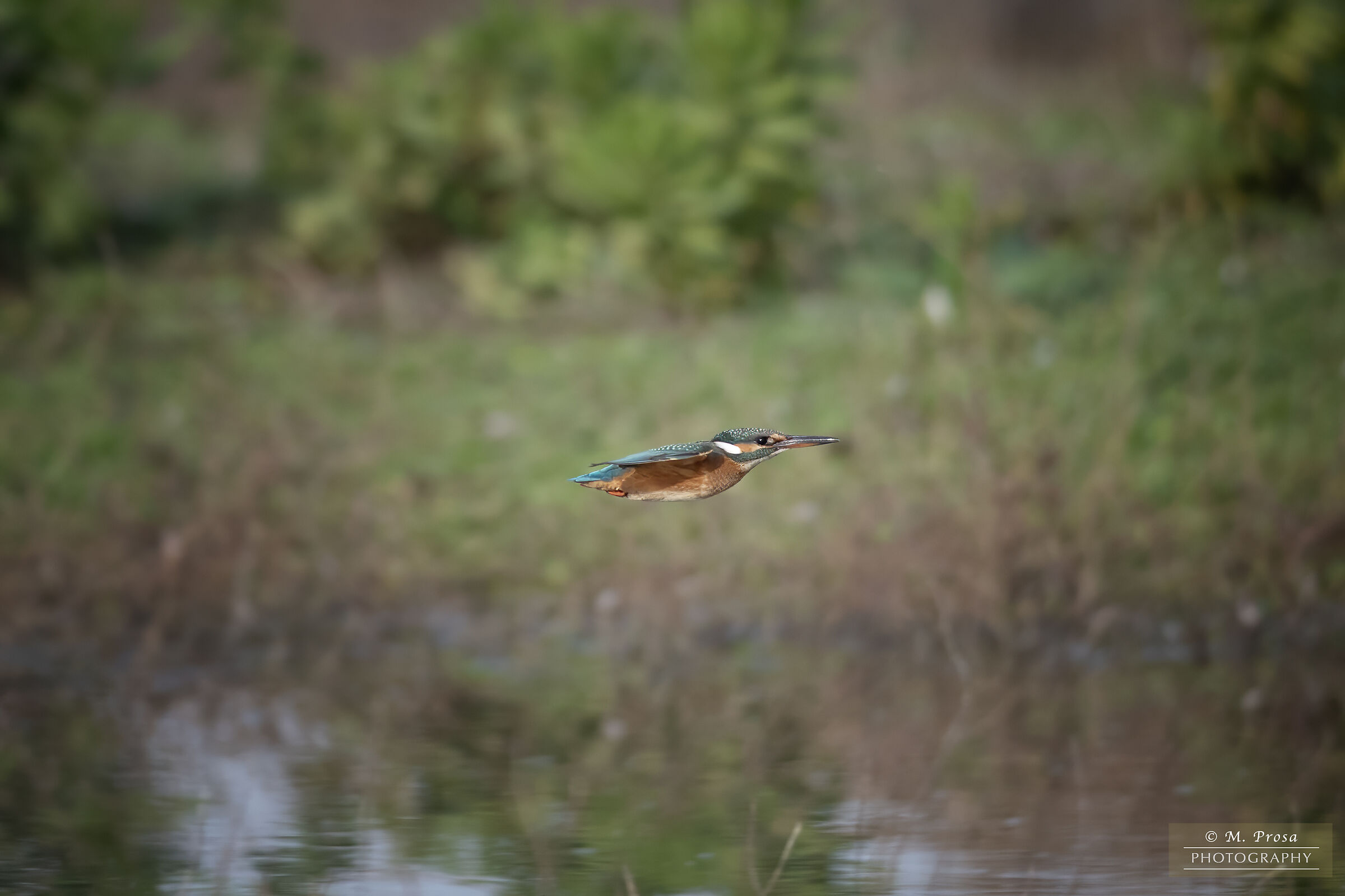 The Martina della Piana