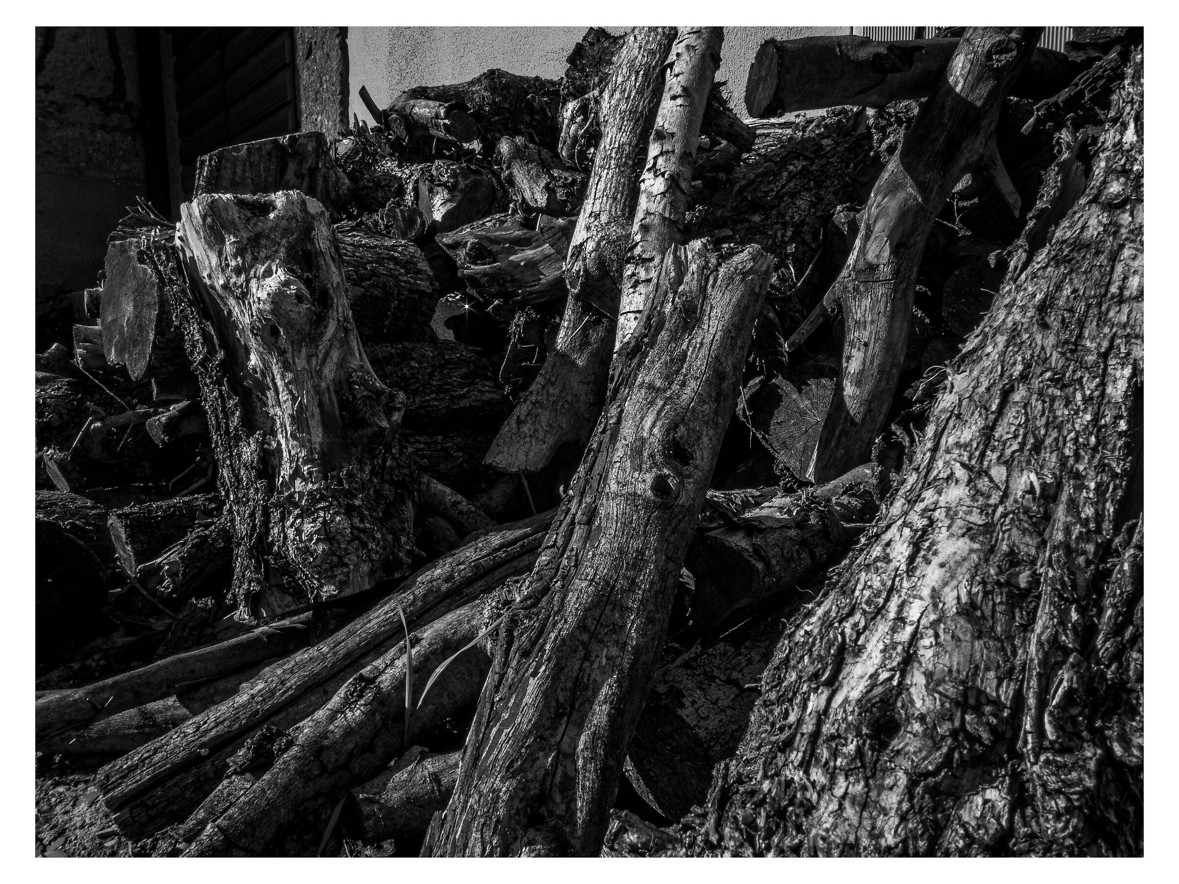 Firewood