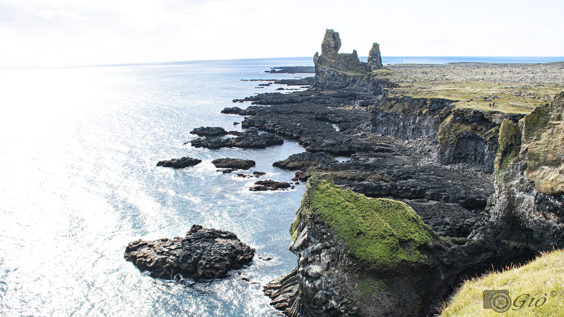 scogliera lavica  di Arnarstapi -Islanda
