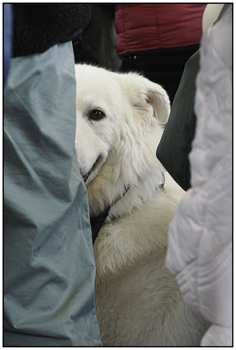 anch'io sono felice di vederti ...