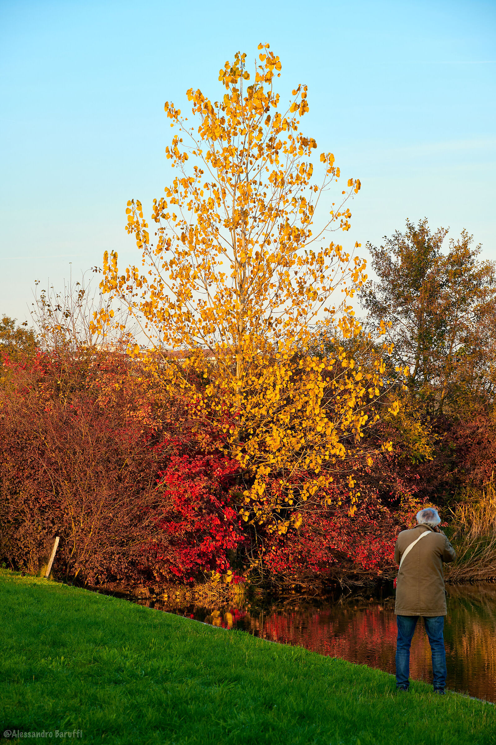 Photographer Photographing