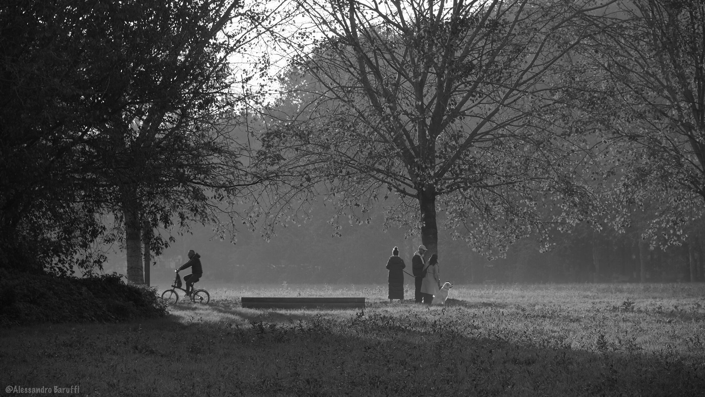 Black and white with dog