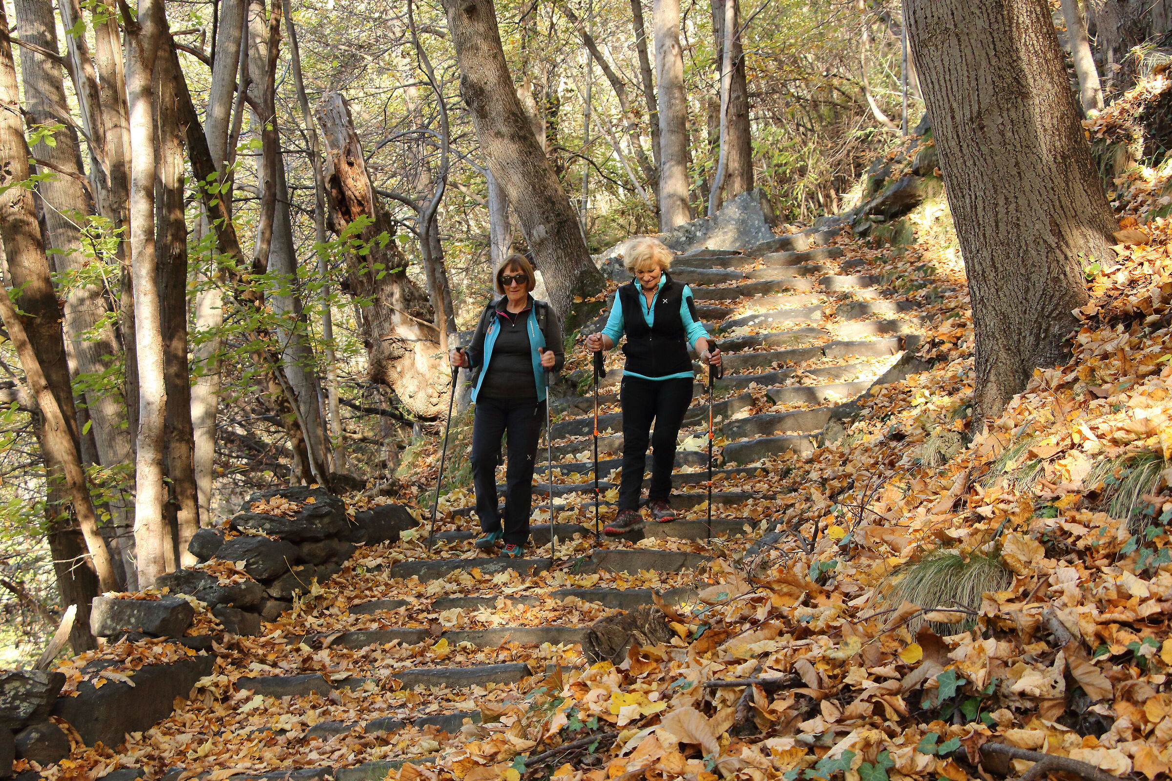 on the Savogno mule track