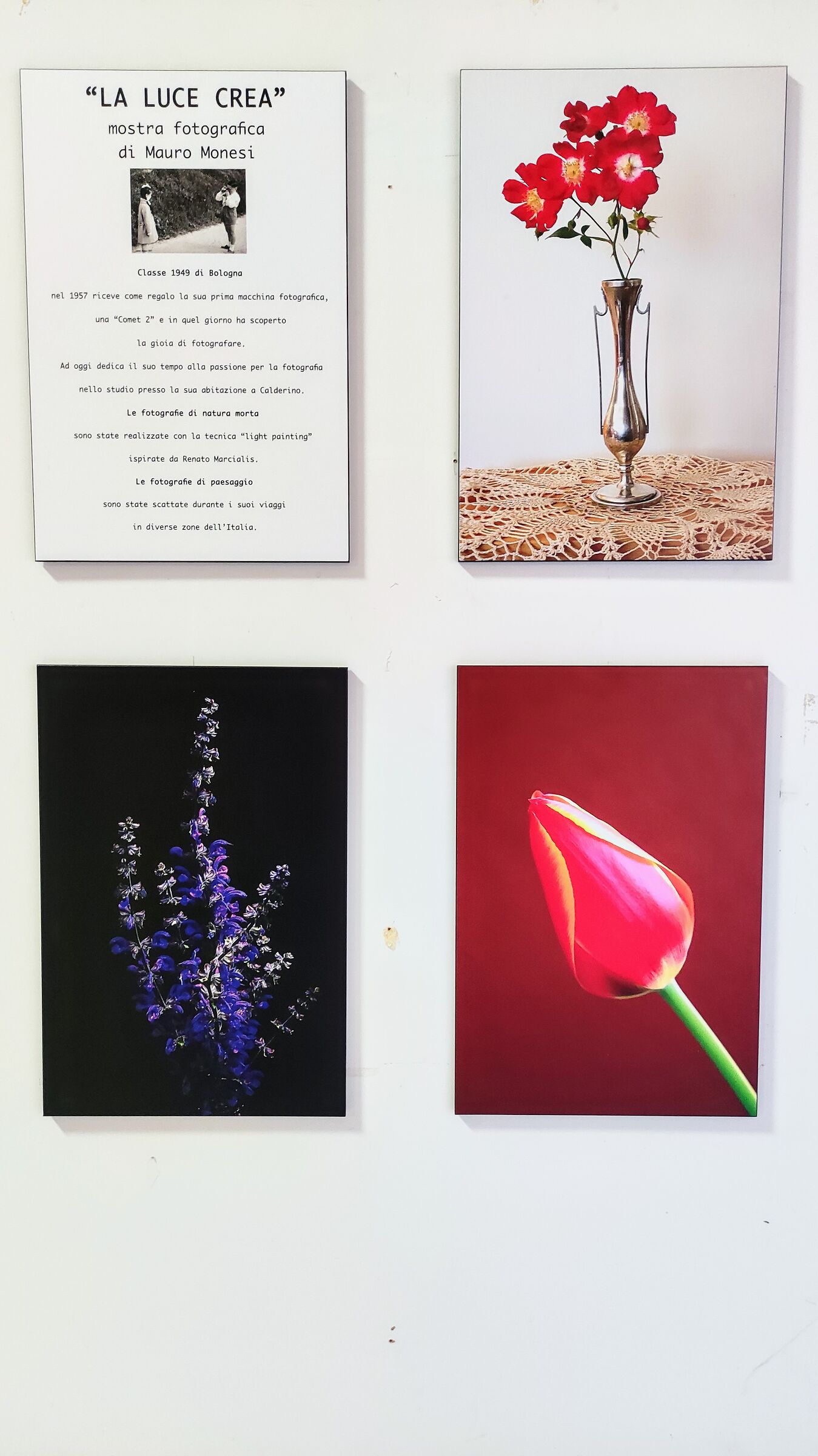 "La luce crea" by Mauro Monesi