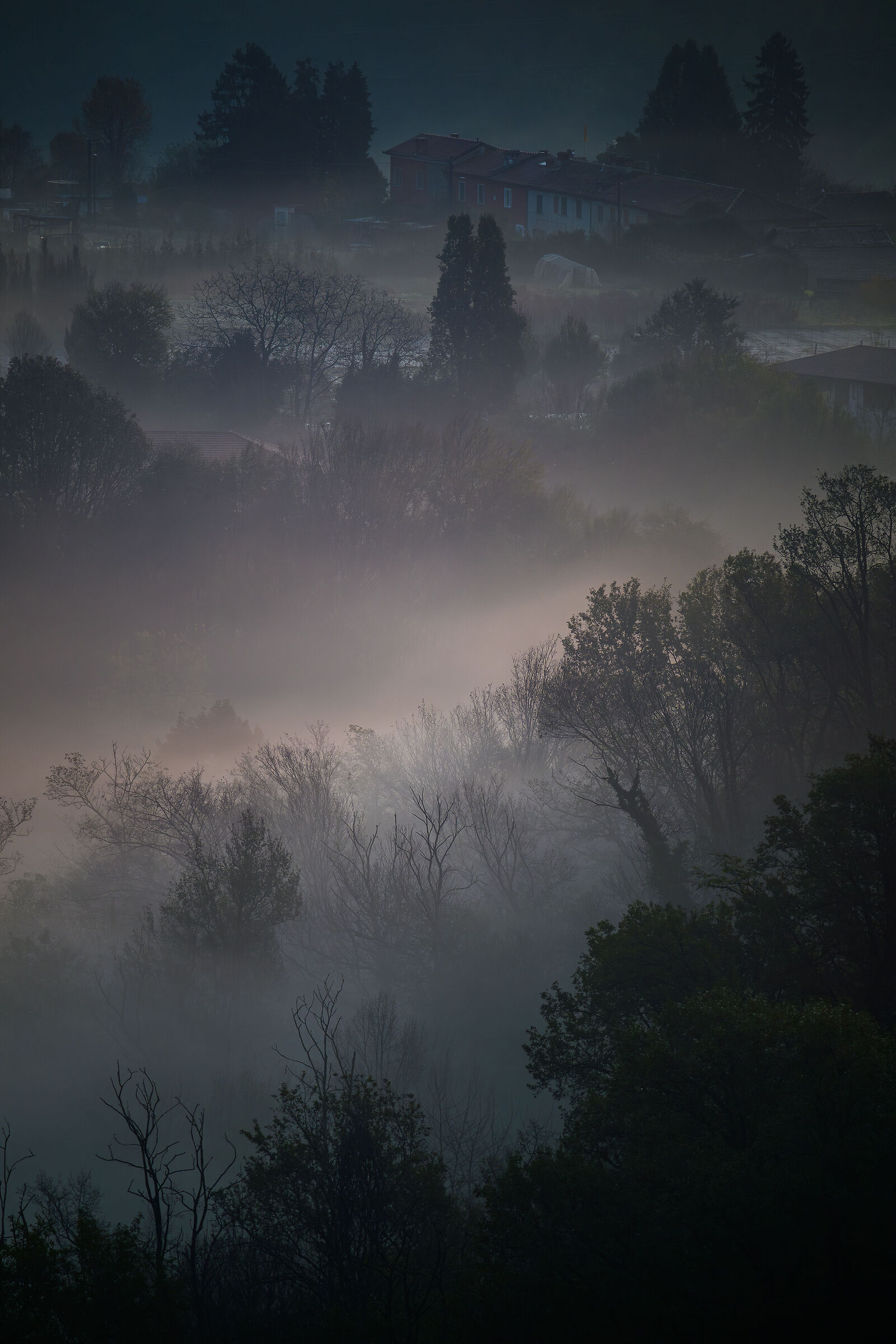 Alba e Nebbia 2