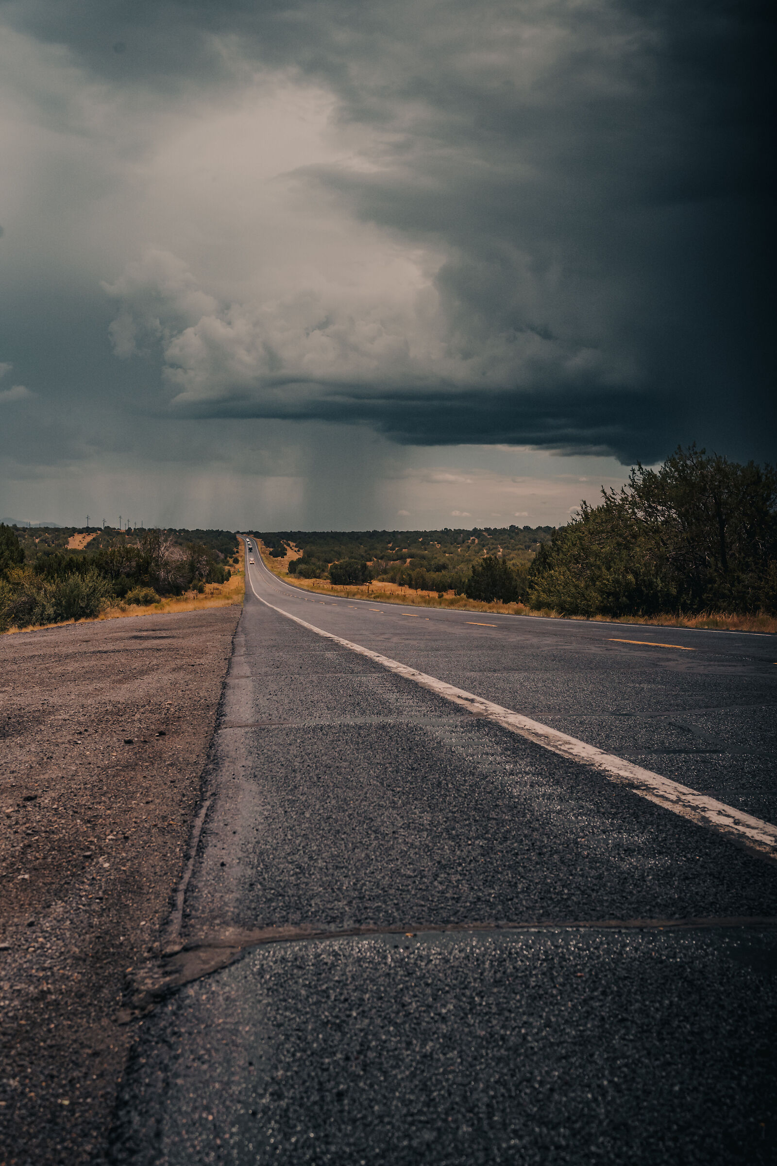 Route 66