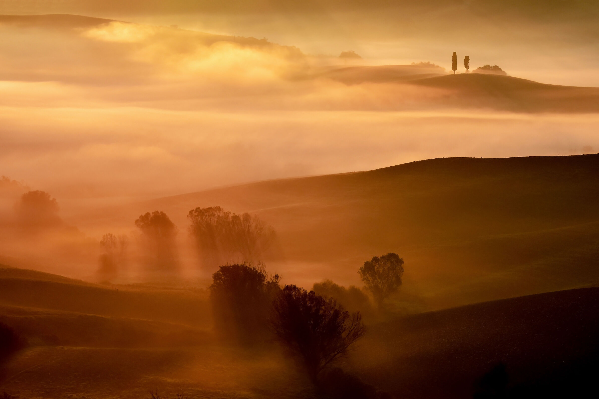classico toscano...