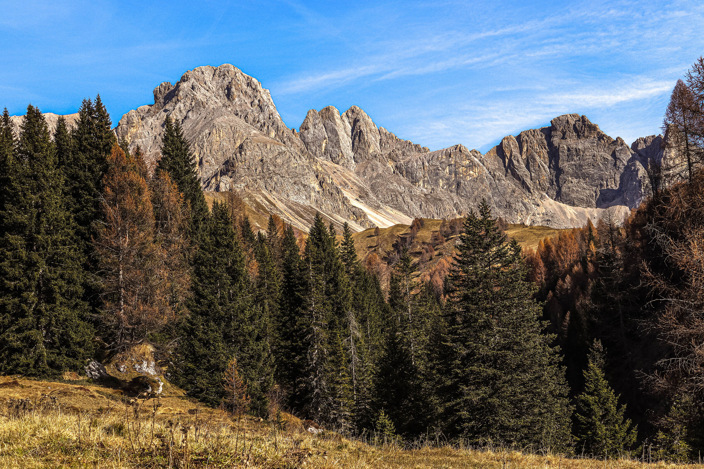 Untitled Photo