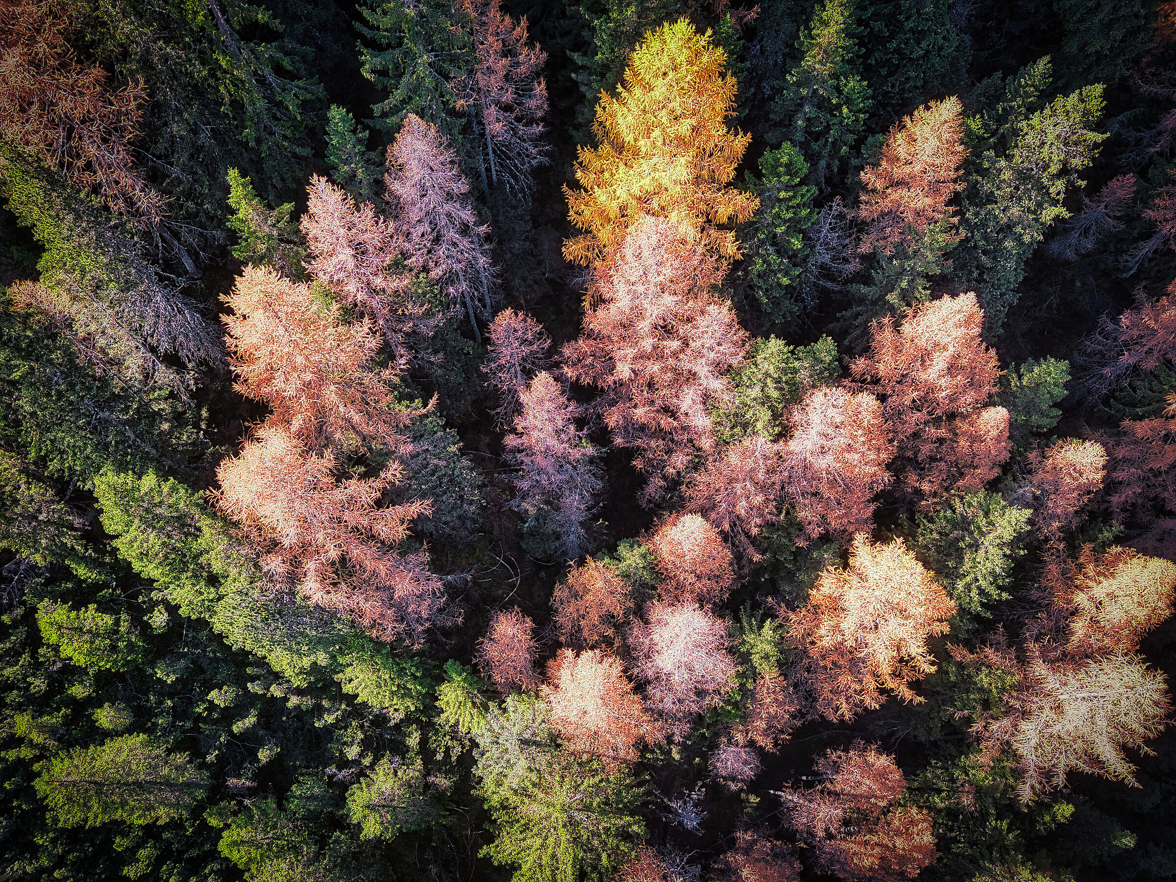 Autunno in Val Pusteria