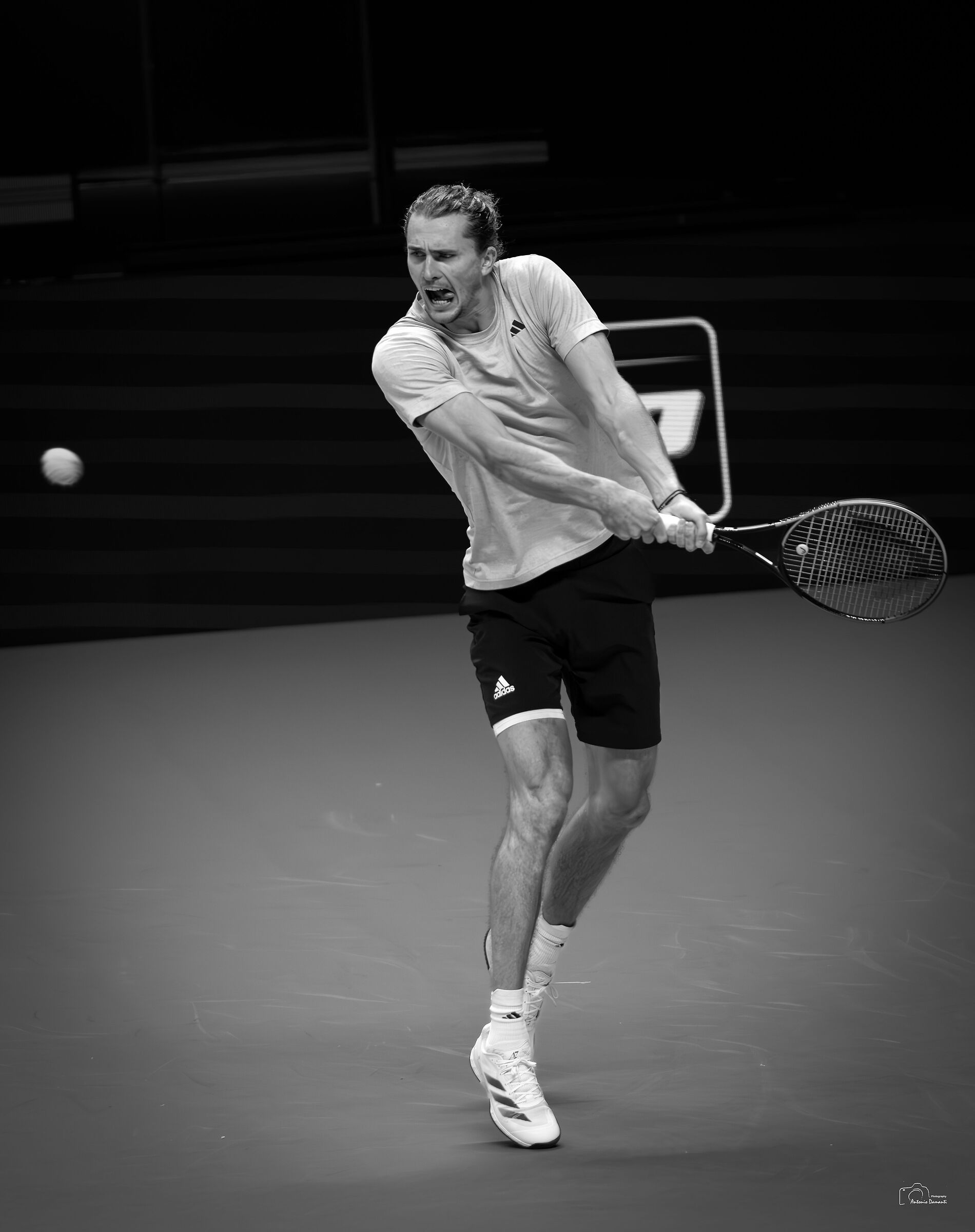 Zvrev @ ATP Finals 2024