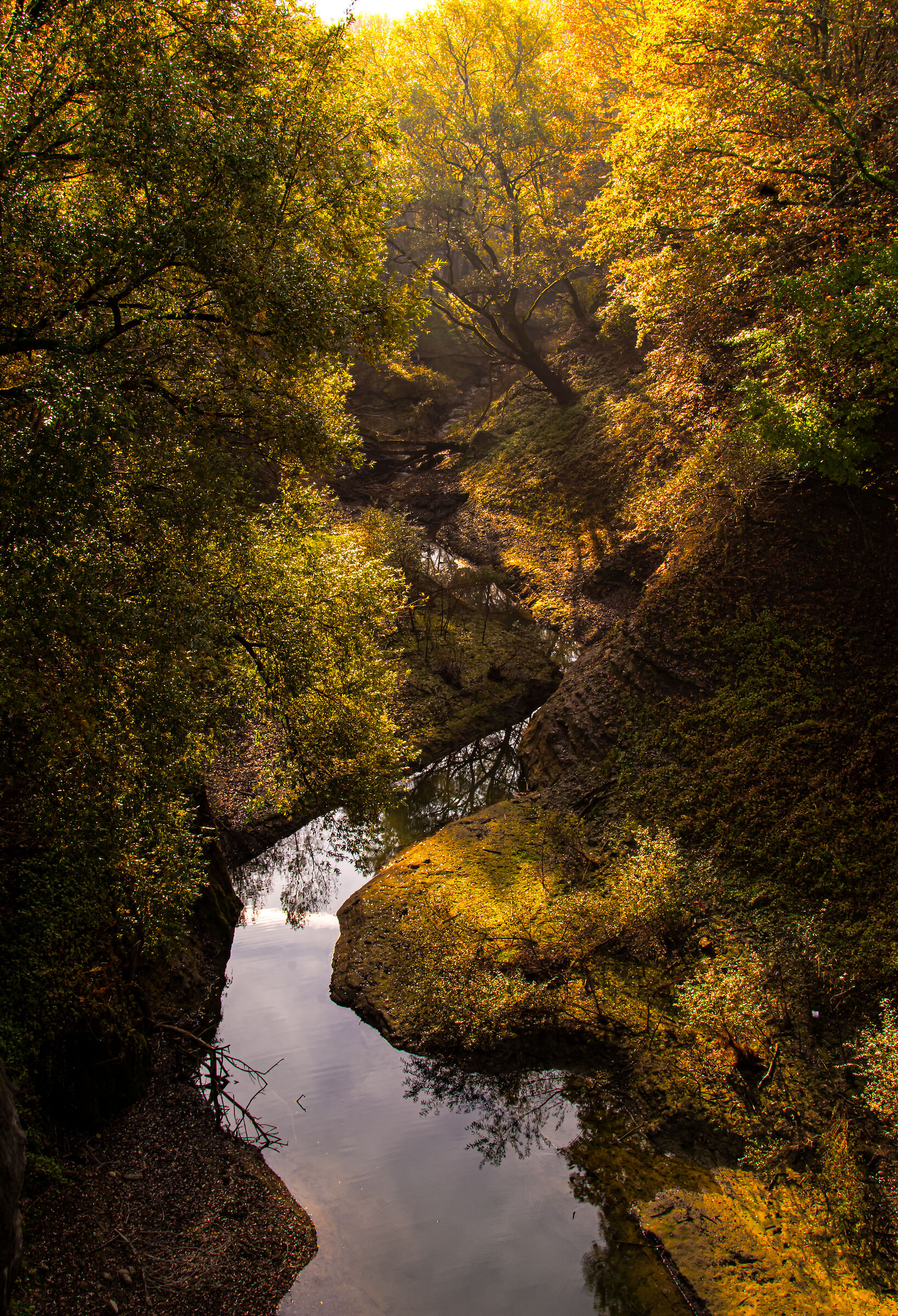 Untitled Photo
