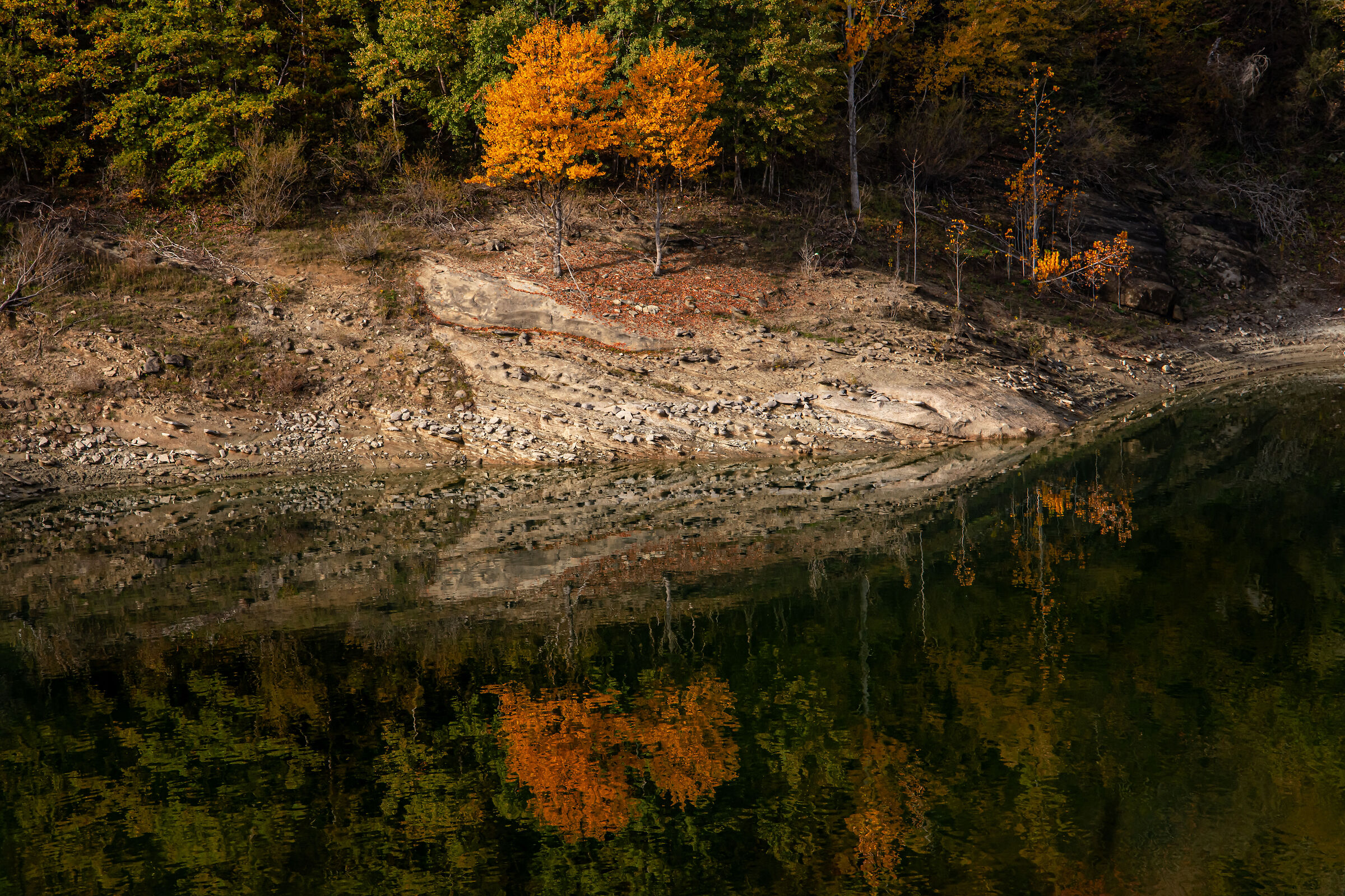 Untitled Photo