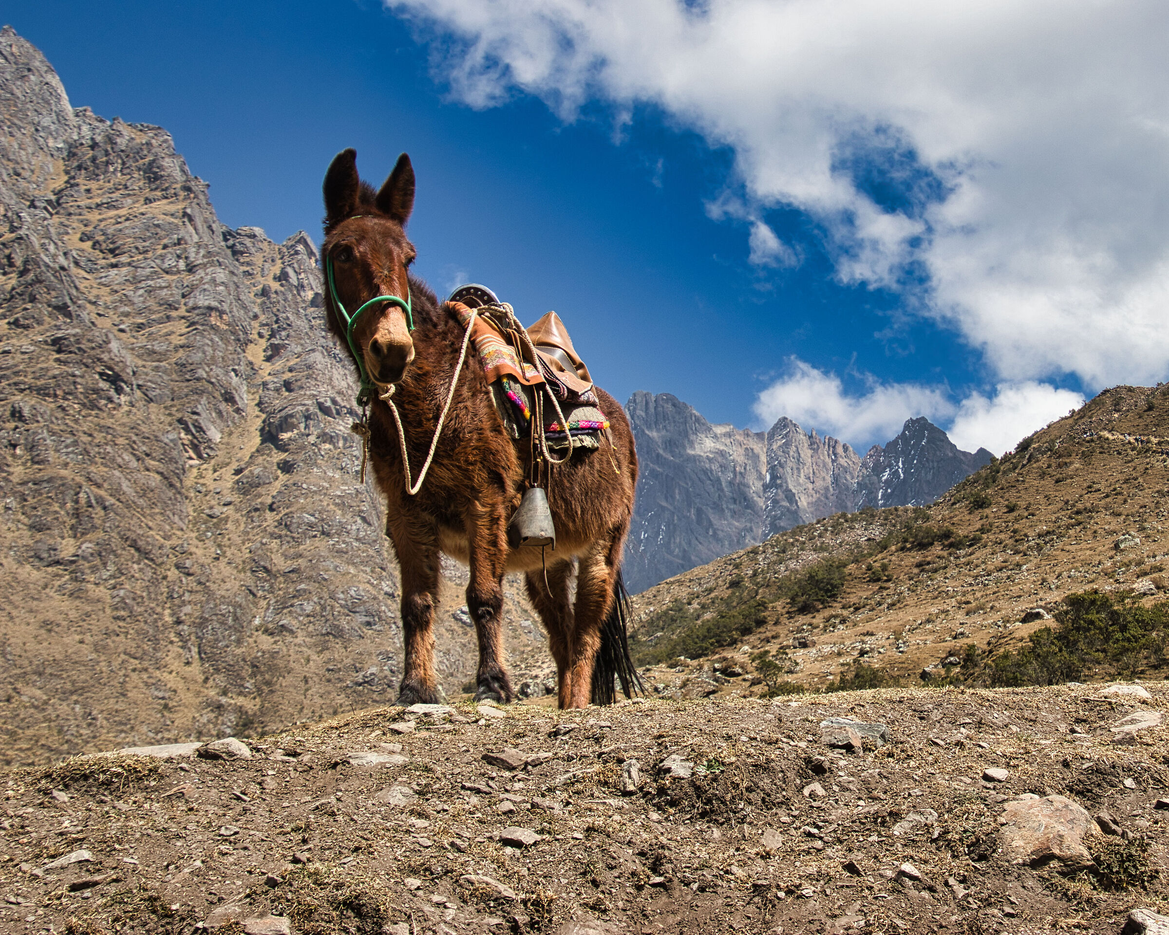 Laguna Humantay_Peru'