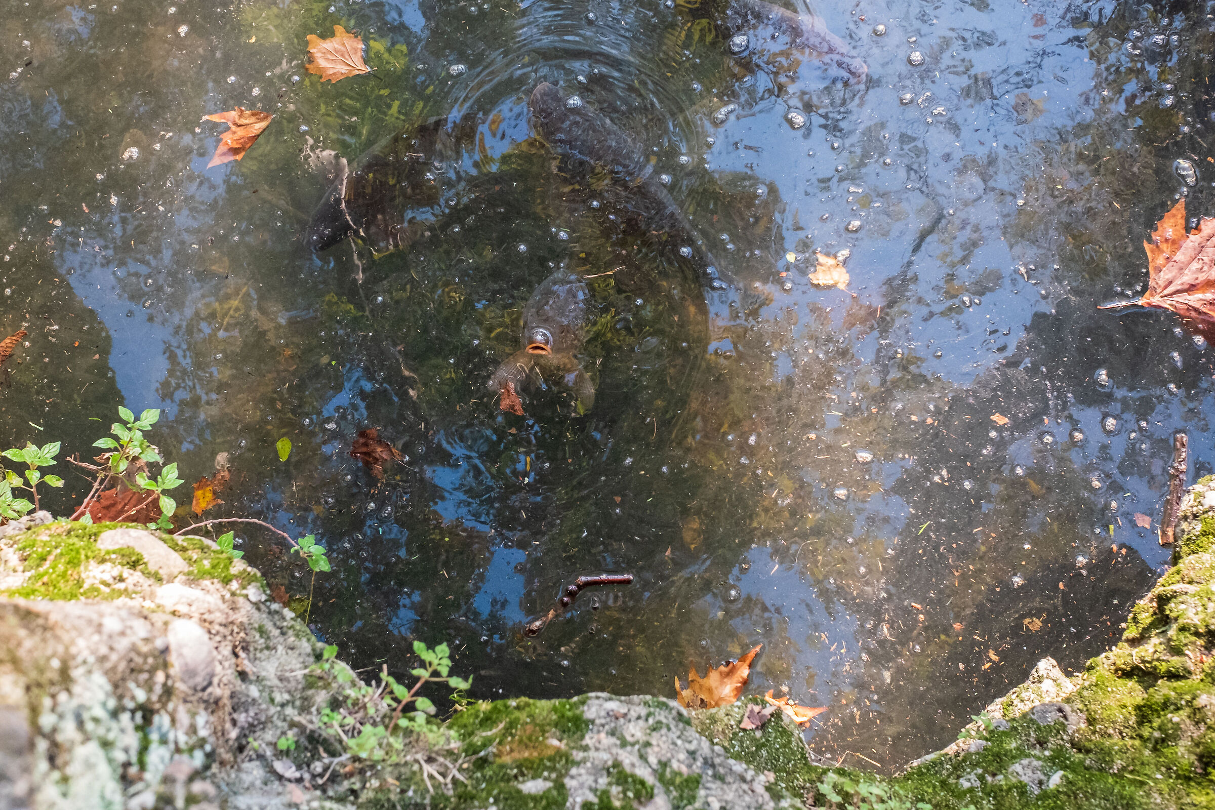 A breath of fresh air