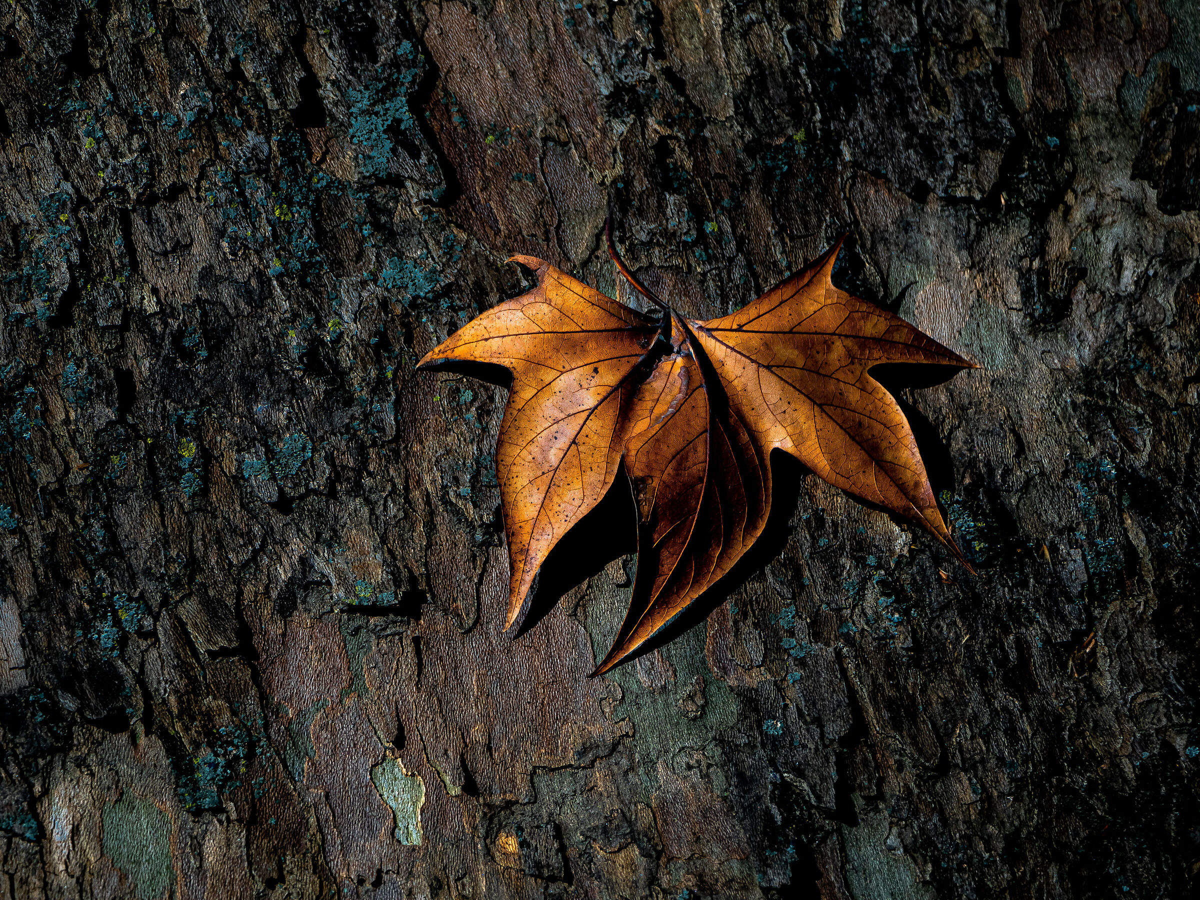 at the end of the cycle, however, in a good light...