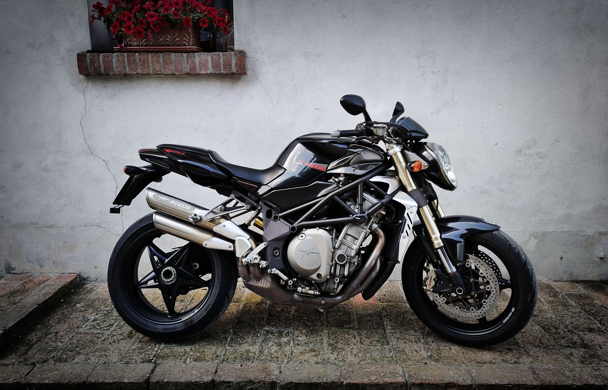 Brutale