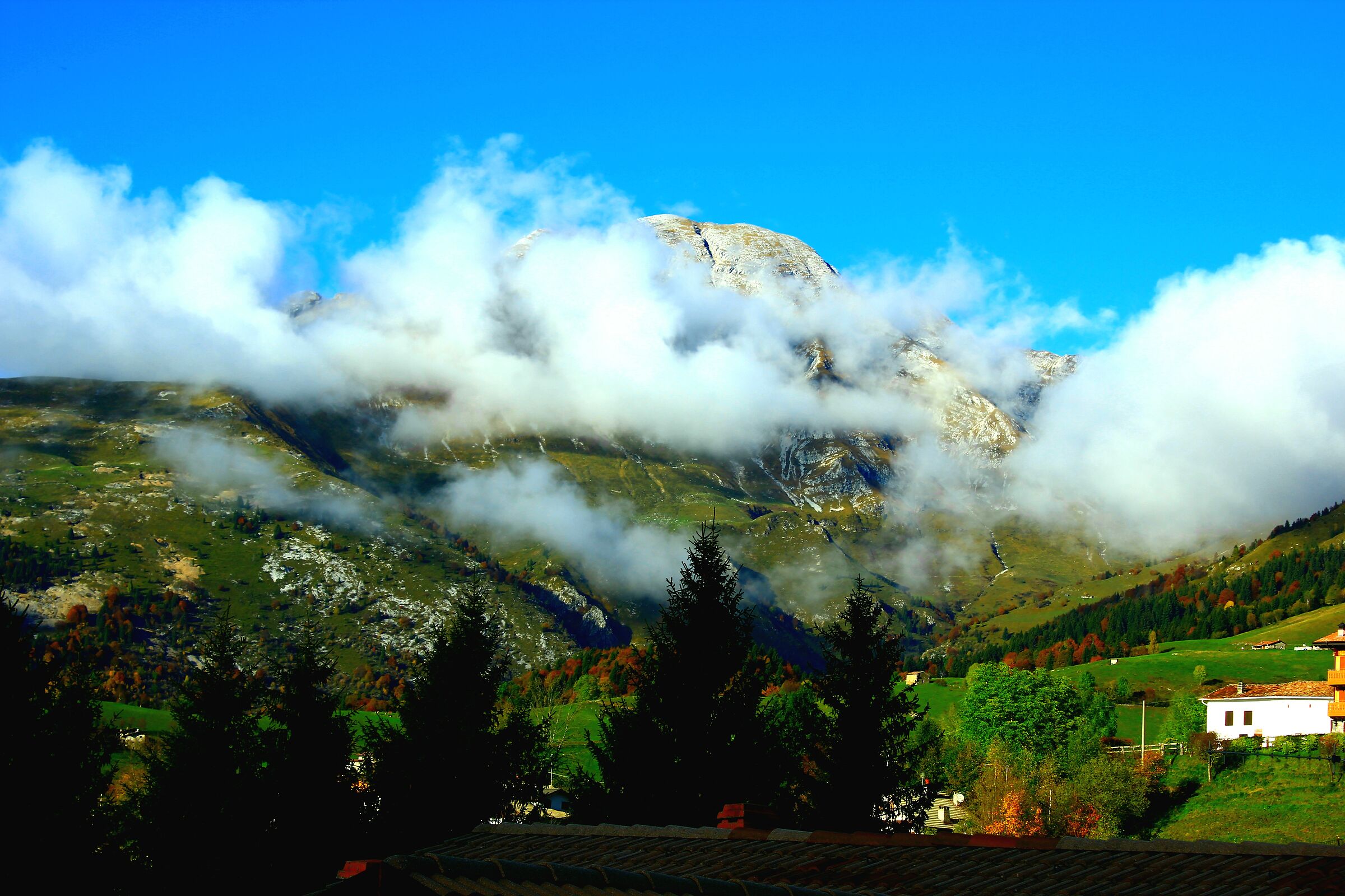 Clear and fog over 2,000m