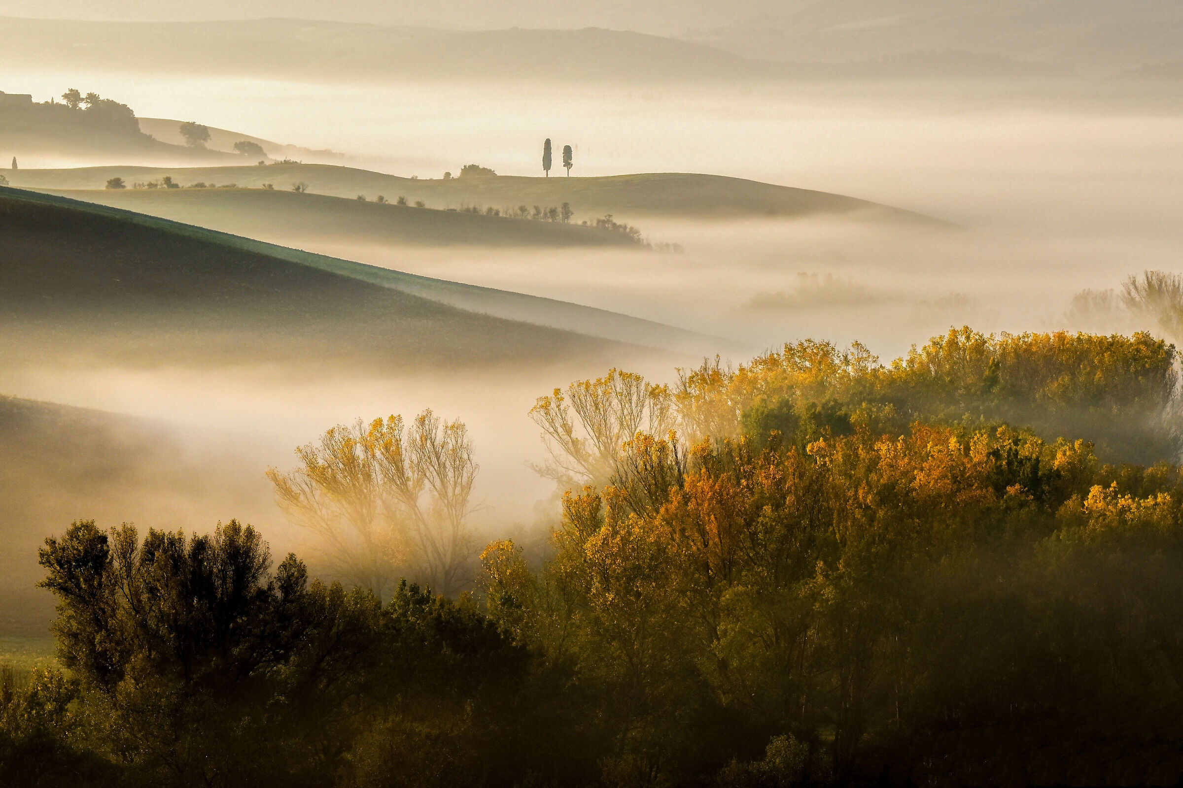 accenni d'autunno.