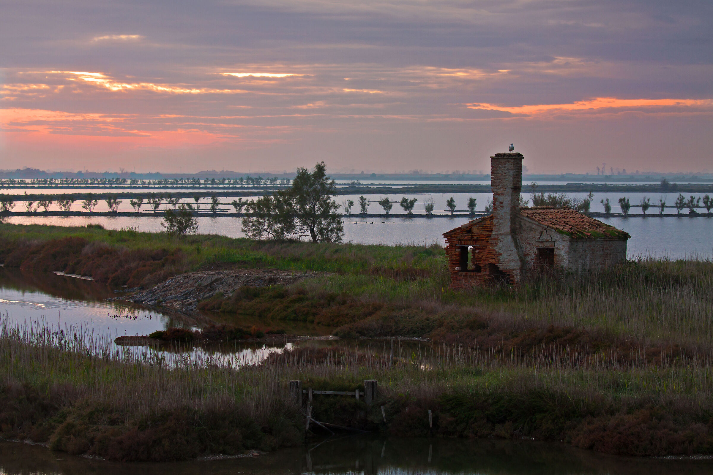 Valle Sagreda, Rosolina ( Ro)