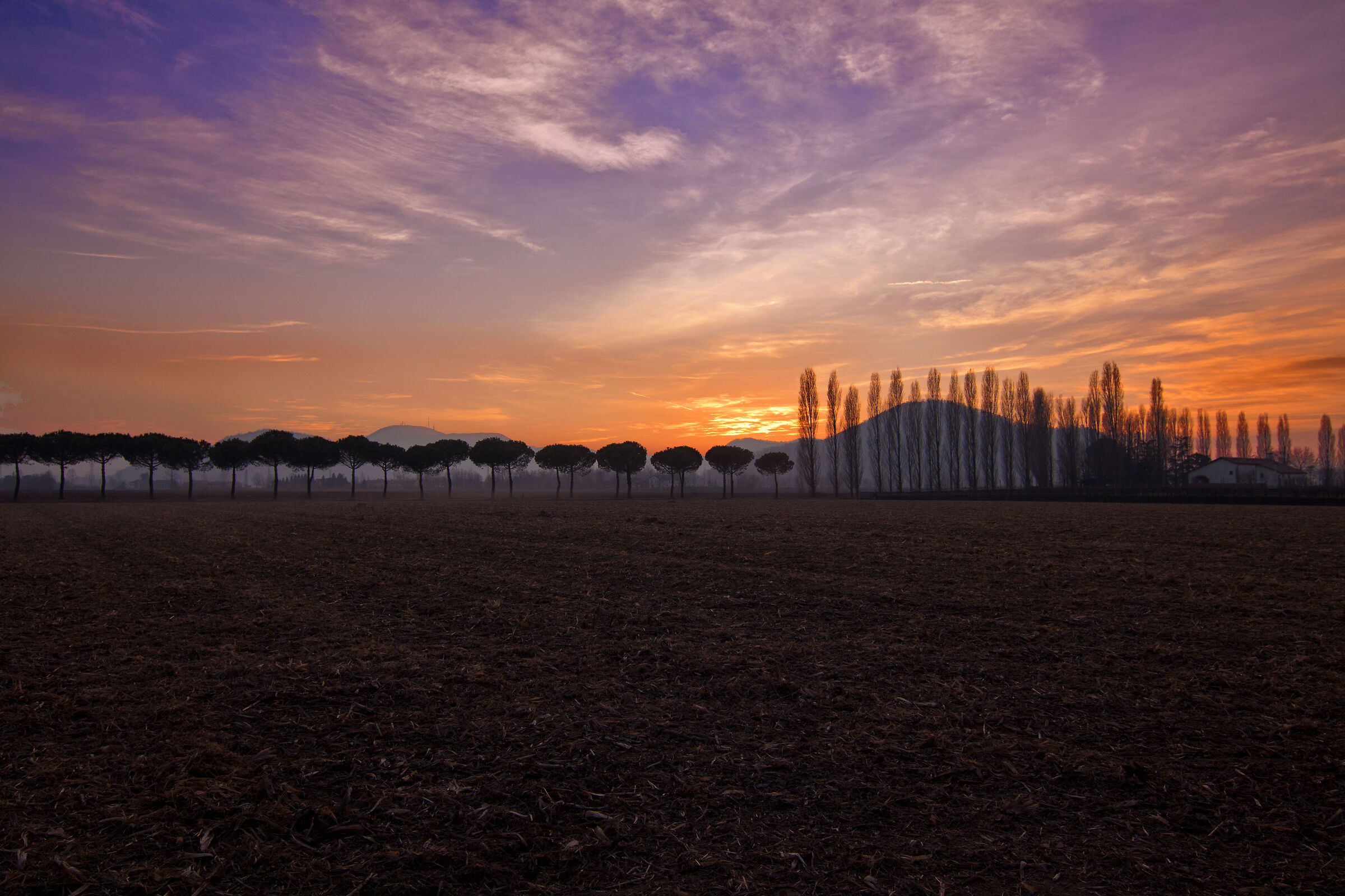 Tramonto - colli Euganei (Pd)