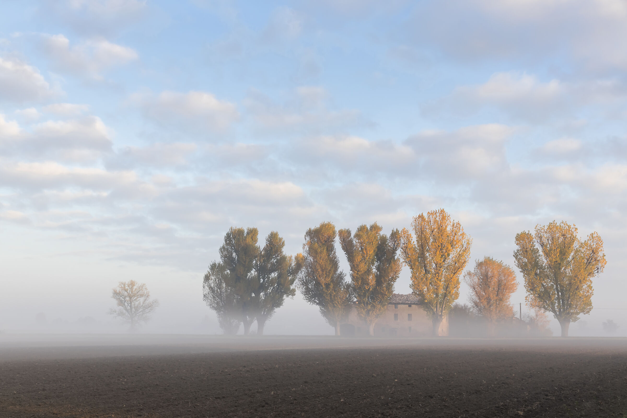 Novembre - Pianura modenese