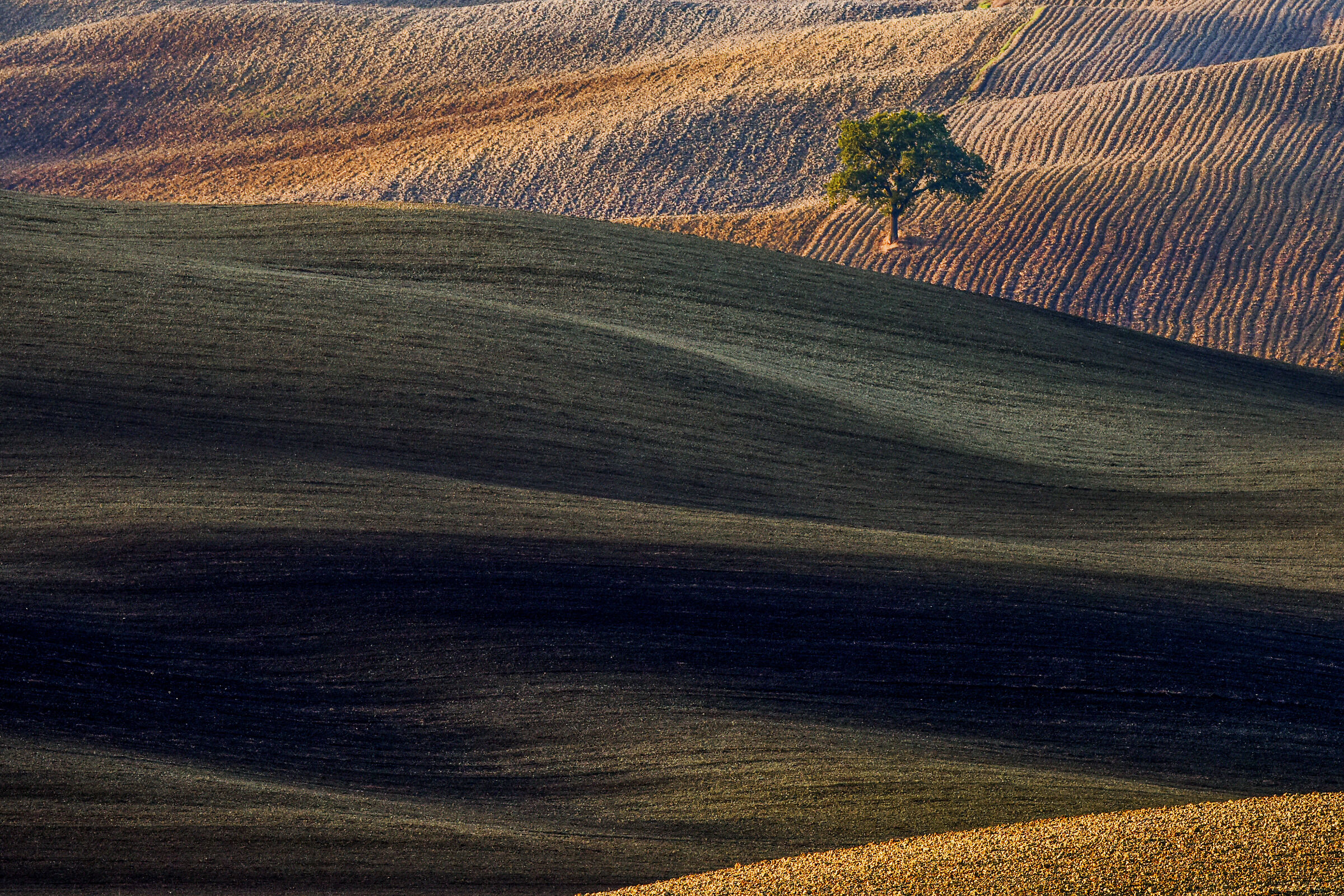 solitudine...
