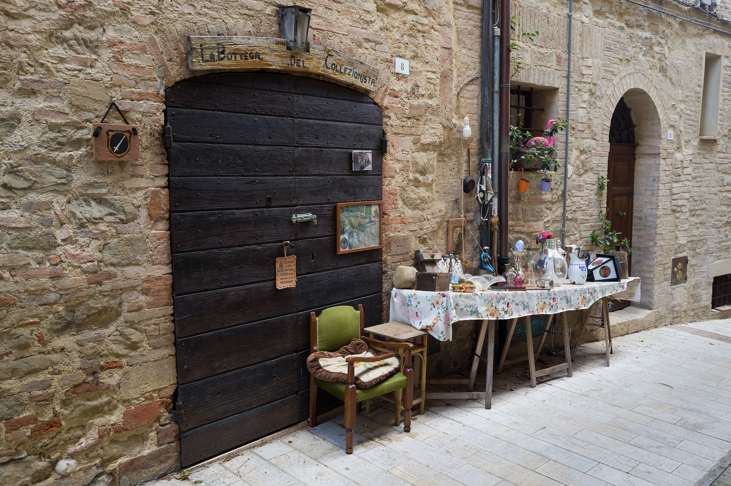 The Collector's Shop